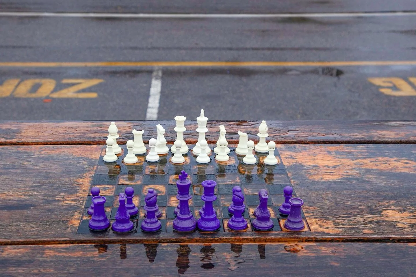 Summer throwback:
&ldquo;Chess in the Rain&rdquo;
. 
📷@catherinehartiganphotography
📍Oak Bluffs, Martha&rsquo;s Vineyard
.
.
.
.
.
#chessmoves #catherinehartiganphotography #summerthrowback☀️ #oakbluffs #marthasvineyardlife