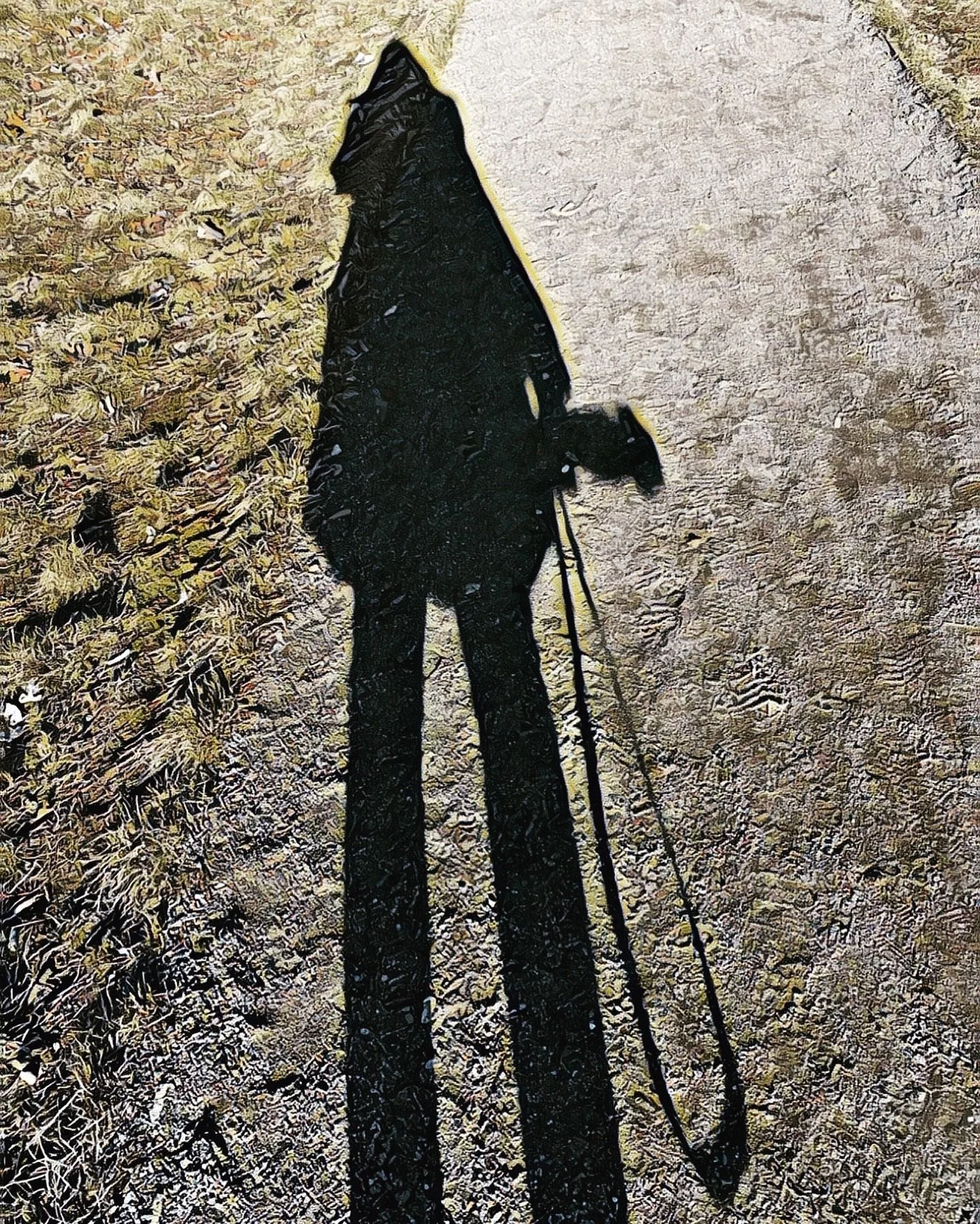 Behind every shadow is a vision. 
.
📷@catherinehartiganphotography
📍Beacon, New York
.
.
.
.
.
#shadows #selfportraitphotography #catherinehartiganphotography #shadowsandlight #canonphotographer