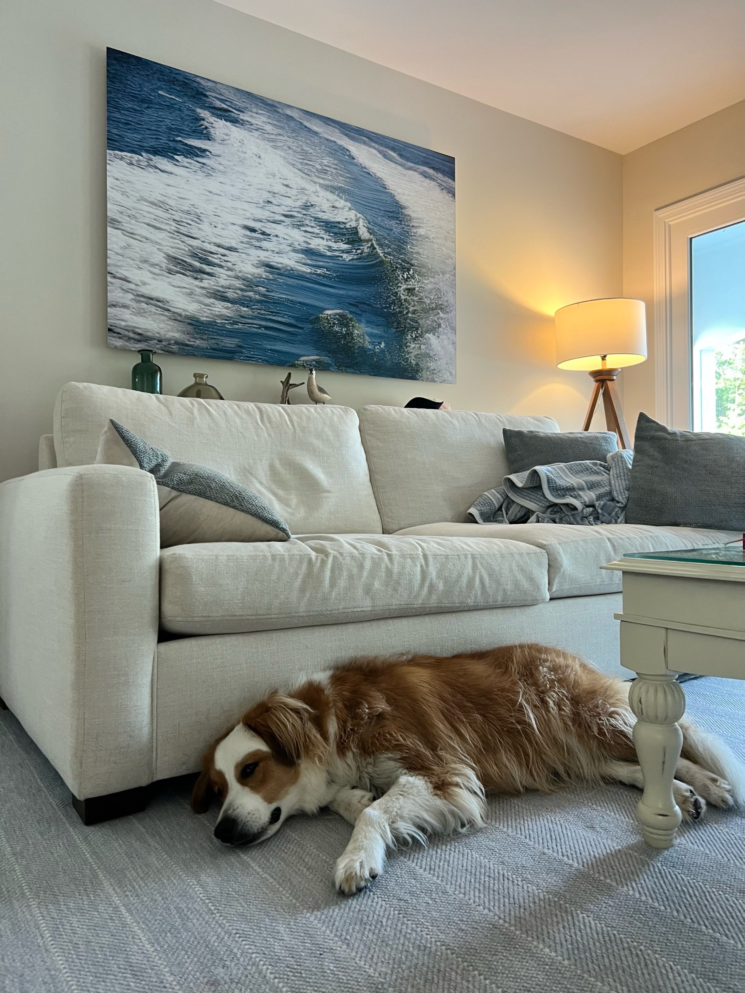 Soothing images for you and your dog. 🐶
Photo creds @kattfoley 
. &ldquo;Wave Goodbye&rdquo;
 40x60 print 
📷 @catherine_hartigan_photography
📍Cape Cod, MA