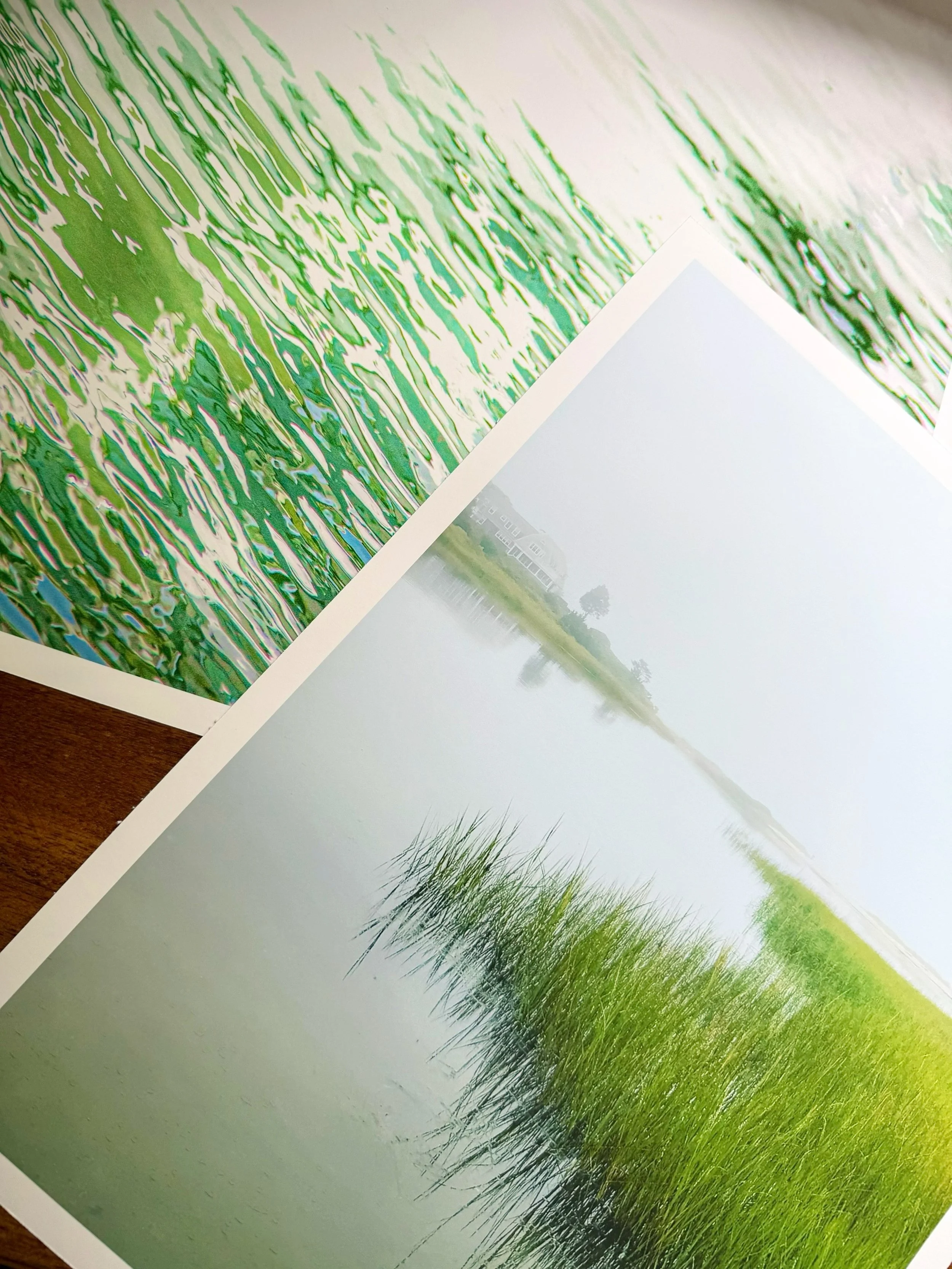 Green is a gentle reminder of our connection to nature.
.
📷 @catherine_hartigan_photography
📍Wilton, CT
.
.
.
.
.
#gogreen #green #natureshooters #seaandland #waterphotography
