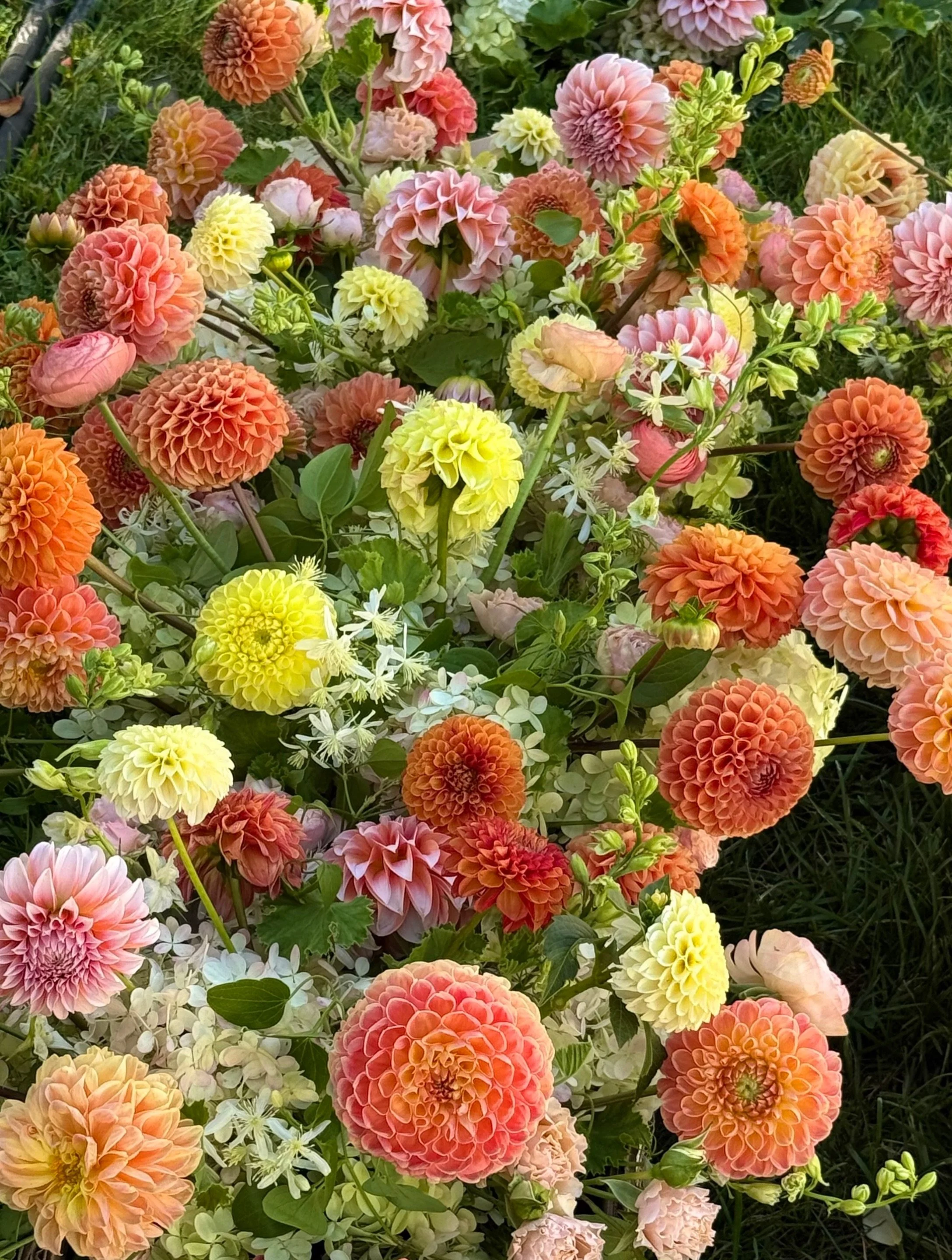 Because sometimes, you just need a big bunch of flowers.
.
📷 @catherine_hartigan_photography
📍Edgartown, Massachusetts 

.
.
.
.
.
#colorpop #dahlias #fallcolor #flowerpower #marthasvineyard
