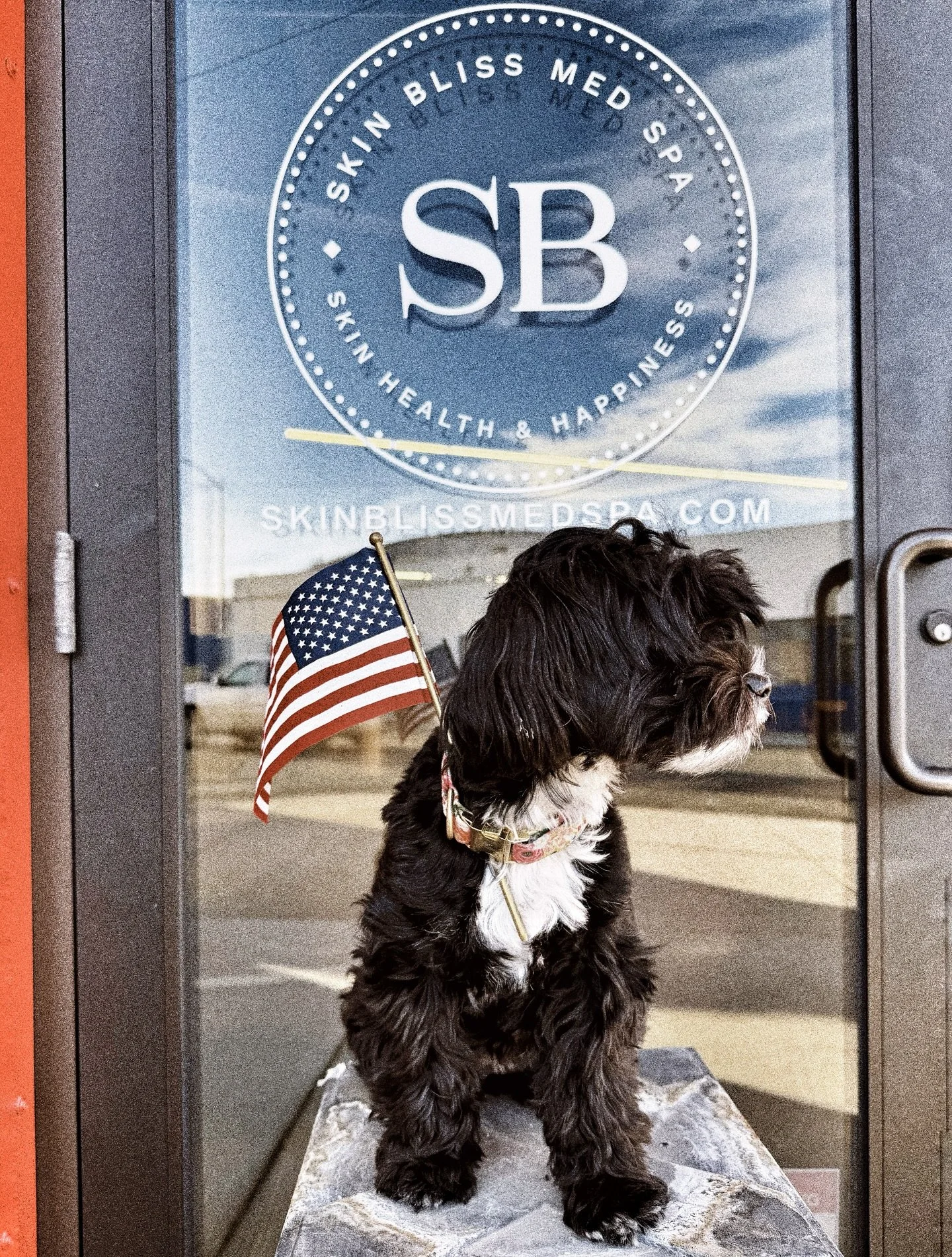 Happy Veterans Day &hearts;️🤍💙
Today, we take a moment to honor all who have served&mdash;and the families who&rsquo;ve supported them along the way.
Thank you &hearts;️🇺🇸