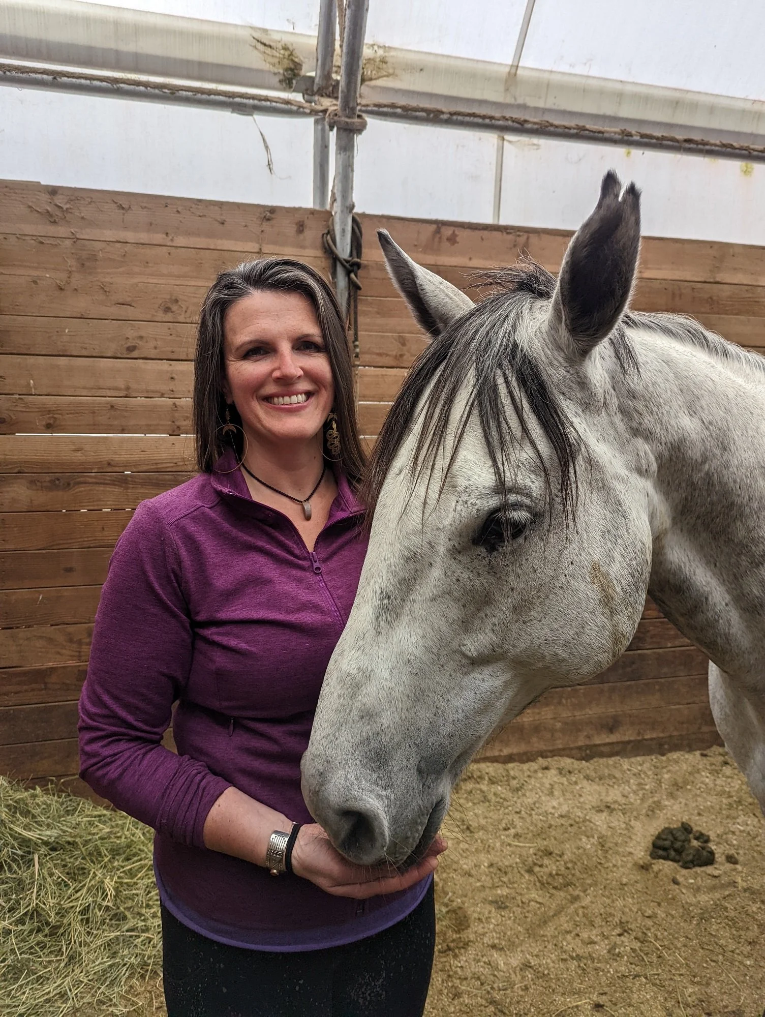 Animal Communicator Michelle Hawk Sessions for Horses