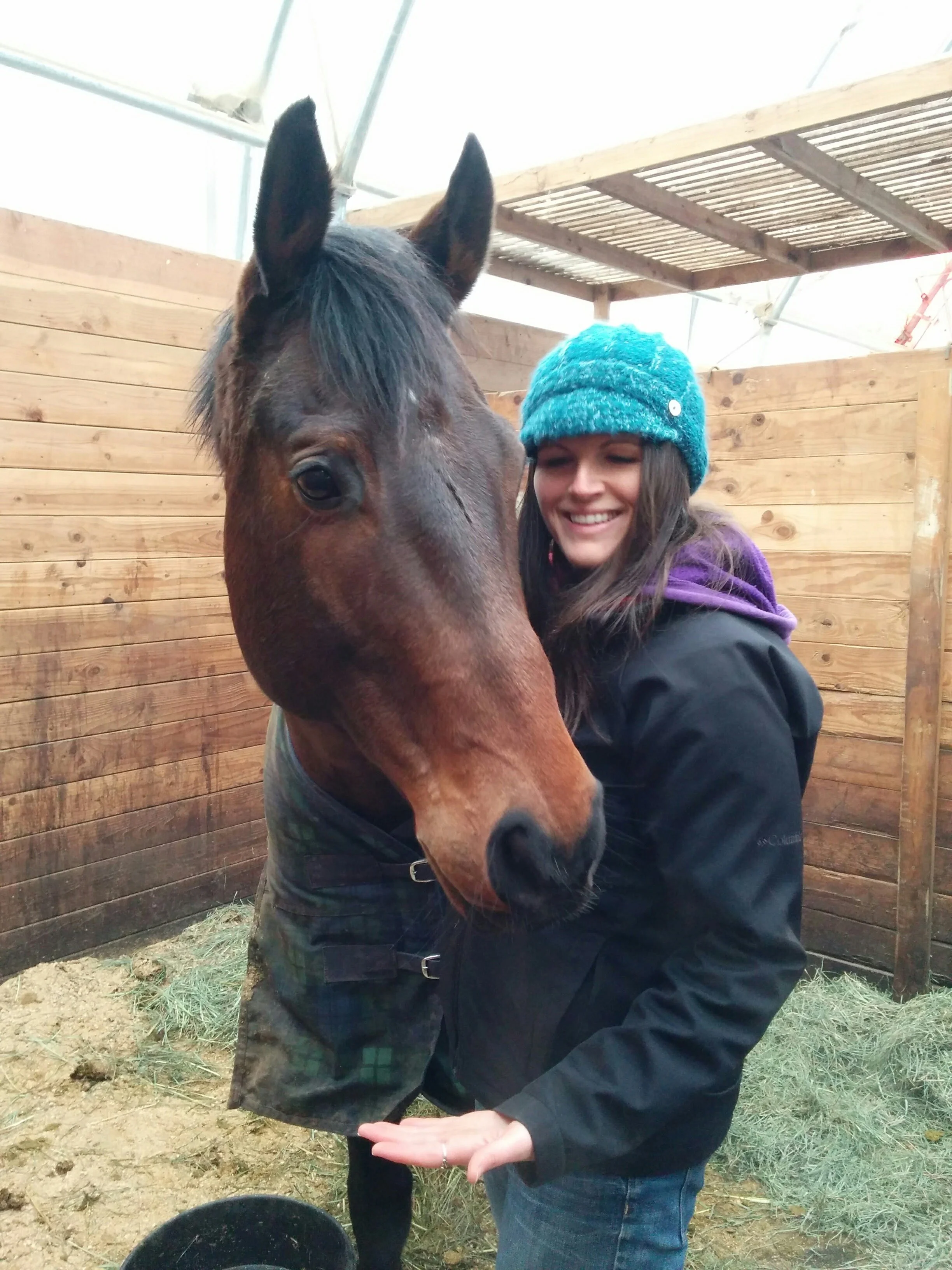 Animal Communicator Michelle Hawk Recommended by Horse Trainer