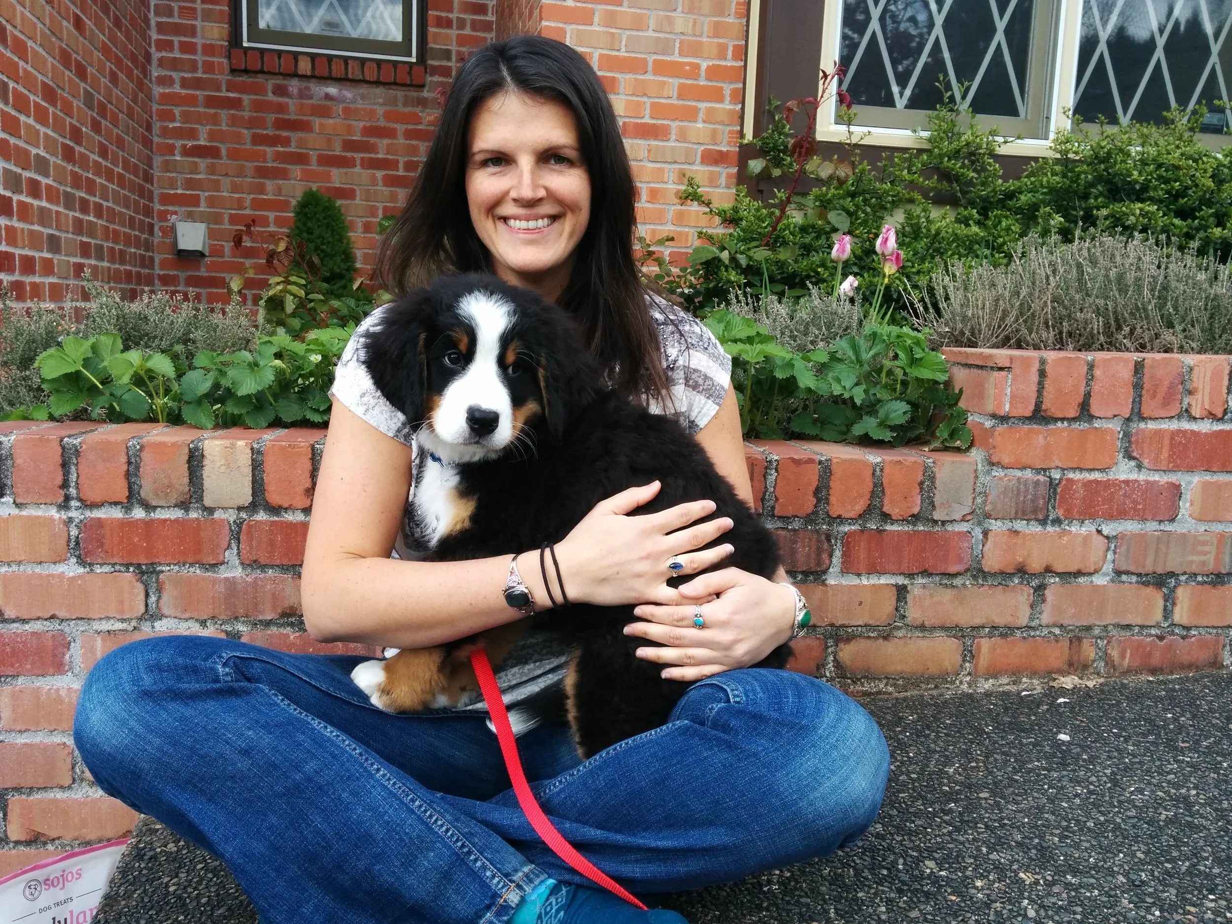 How I Became an Animal Communicator