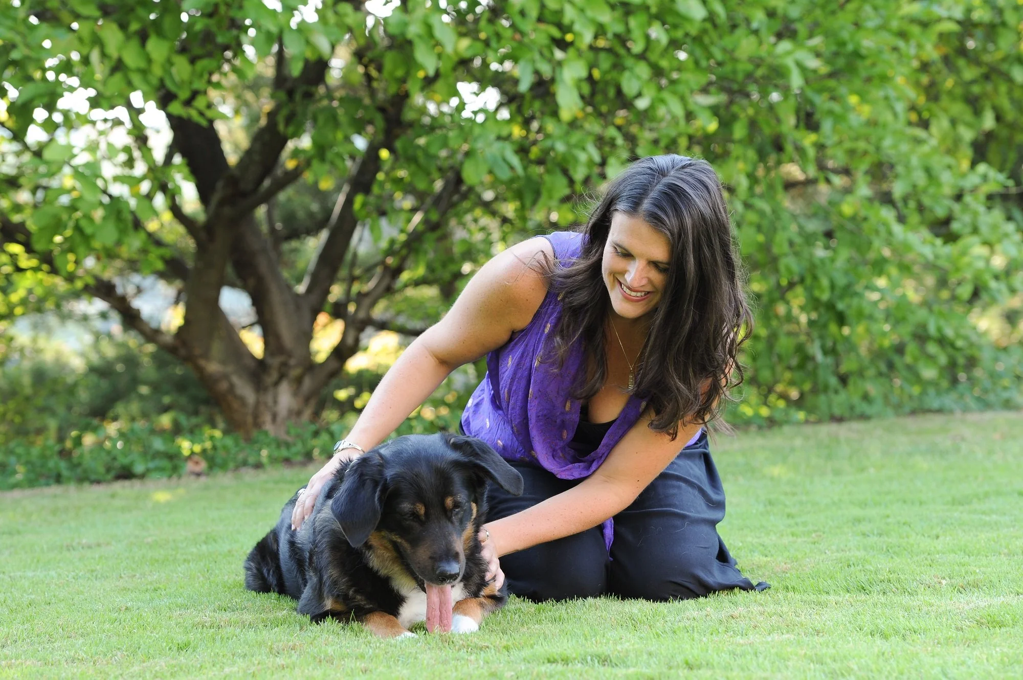 How Animal Communication Helps with Dog Behavior Problems
