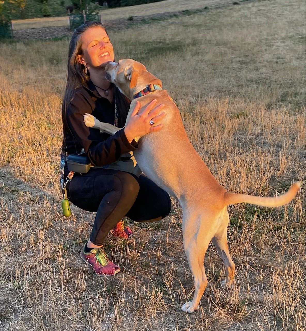 What Is Animal Communication? A Complete Beginner's Guide
