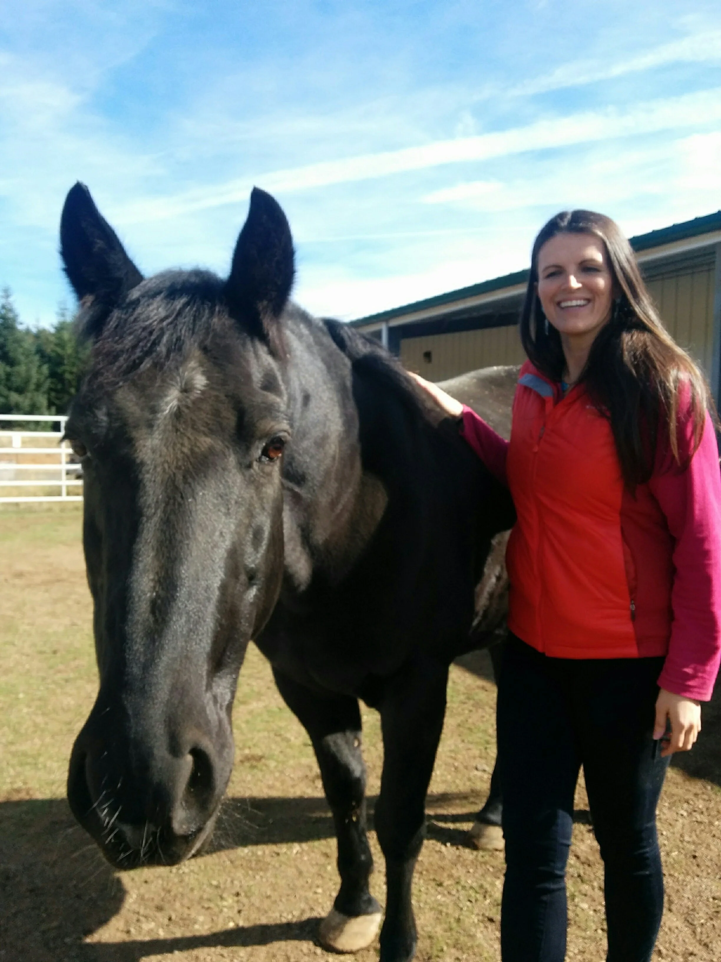 Animal Communication Portland Oregon Pet Psychic readings with Michelle Hawk Horse