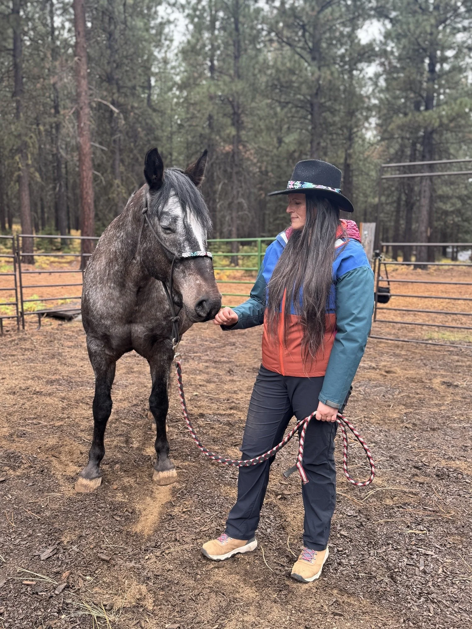 Michelle Hawk conducting an in-person horse communication session in the Columbia River Gorge area Oregon