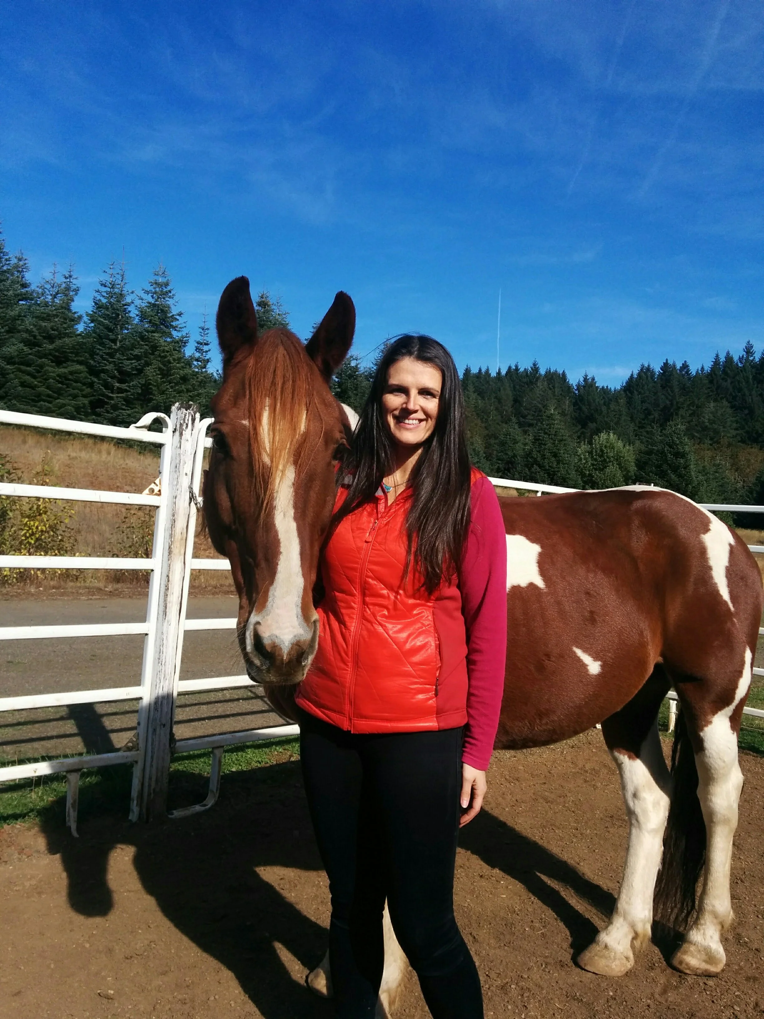 Animal Communicator Michelle Hawk Sessions for Horse Health