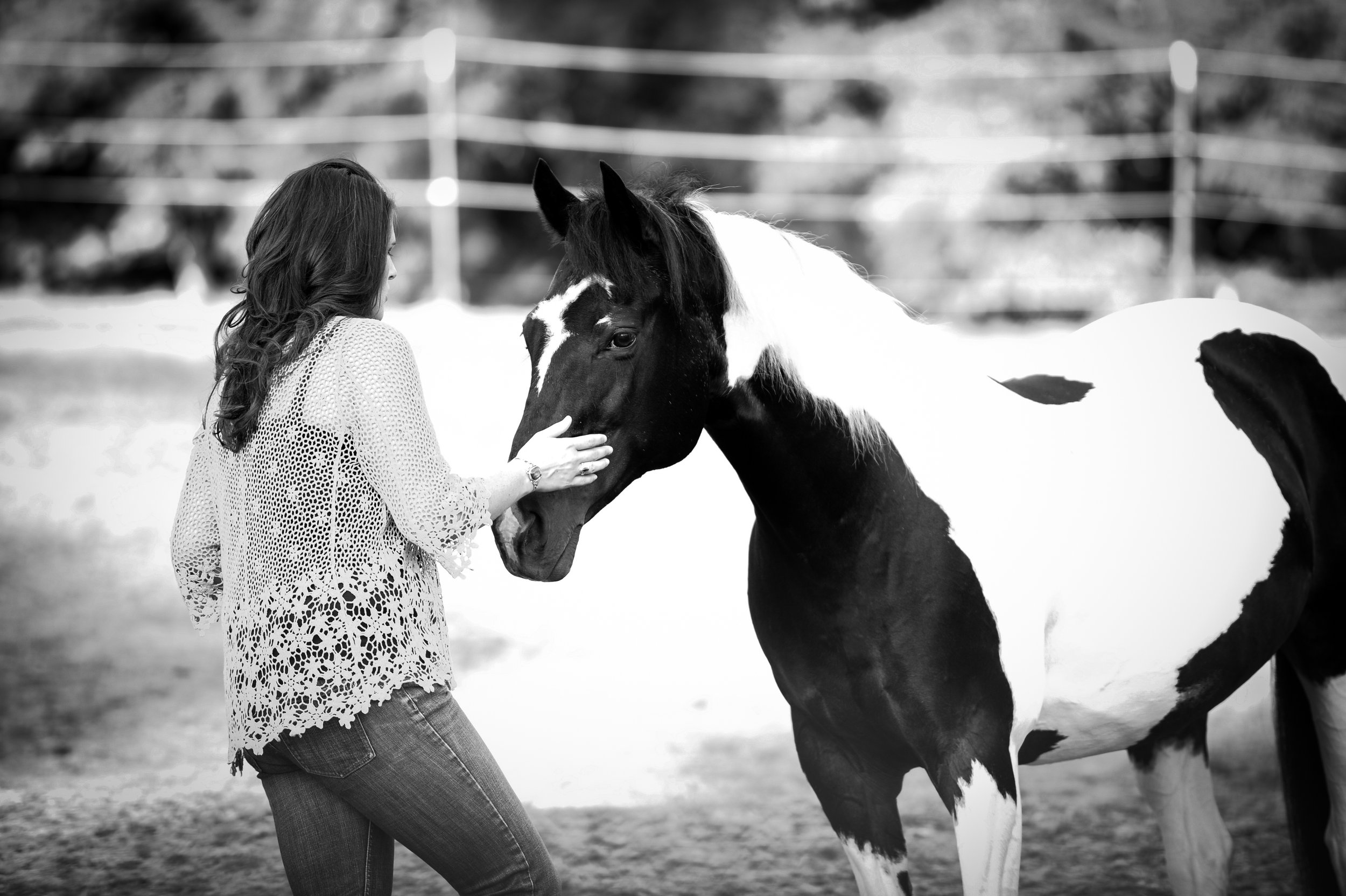 Book Animal Communication Session Michelle Hawk Portland Oregon.jpg
