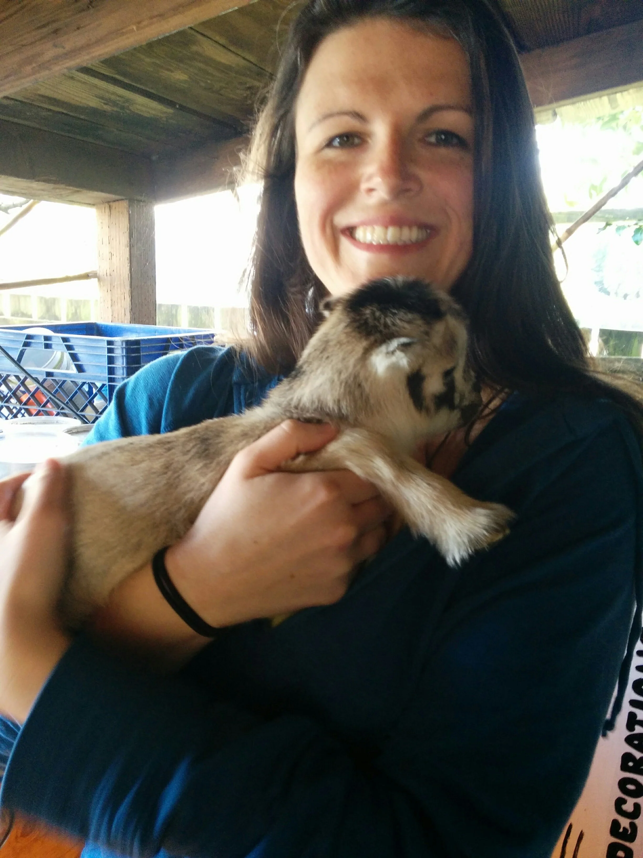 Michelle Hawk Animal Communication Session Online