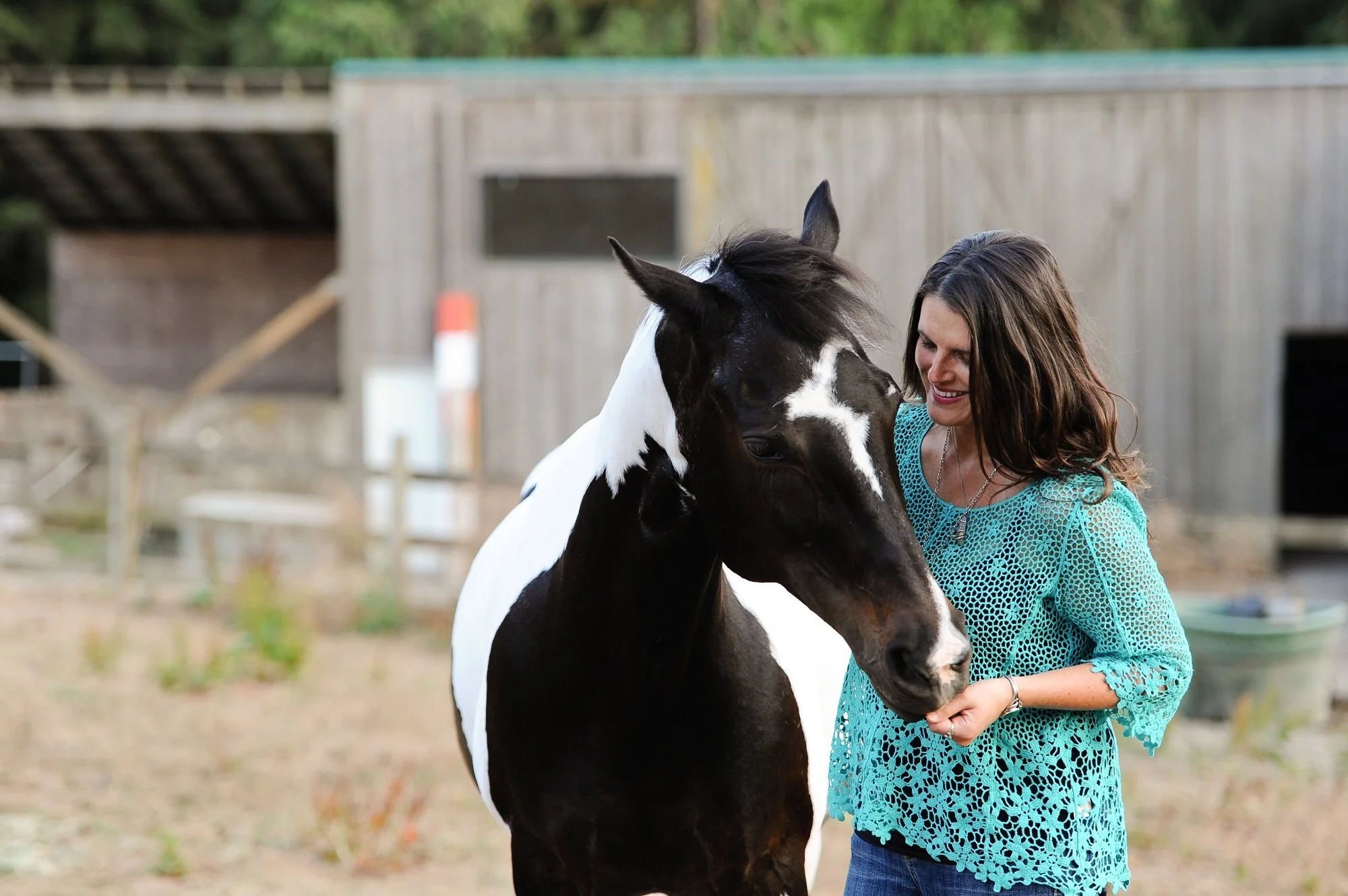 In Person Animal Communicator Portland Oregon Michelle Hawk.jpg