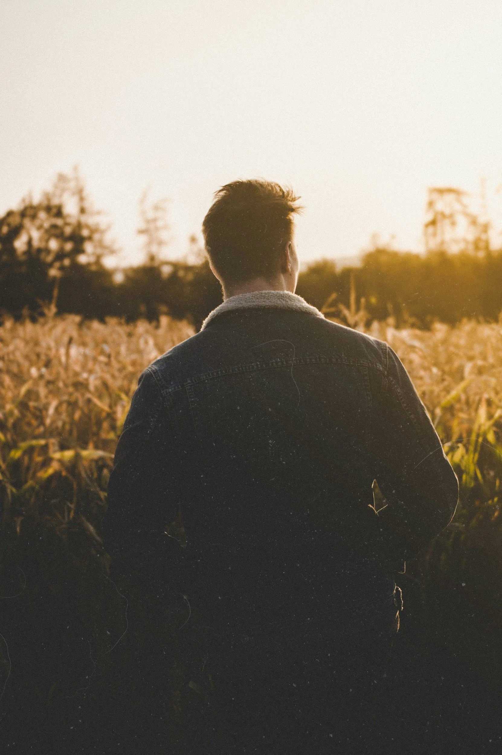 A person with short hair, seen from behind, stands in a field of tall grass or crops during sunset or sunrise, with trees and a building faintly visible in the background.
