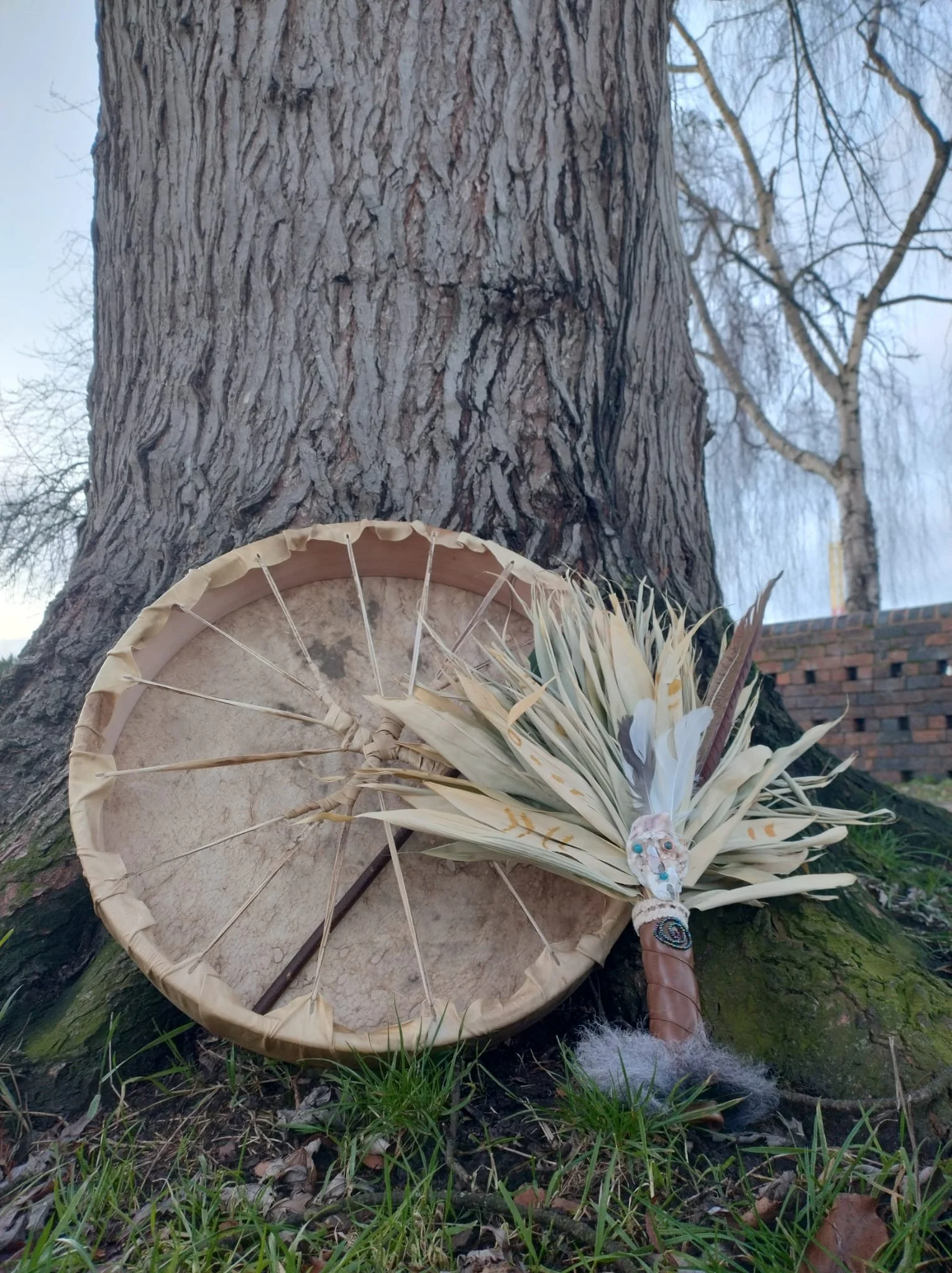 WhatsApp Image 2026-01-22 at 11.06.274.jpg