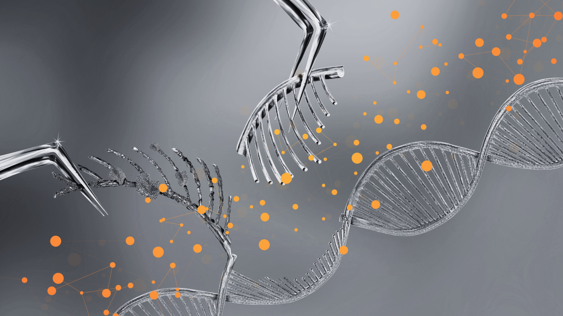 How to weave AI into your organisation’s DNA