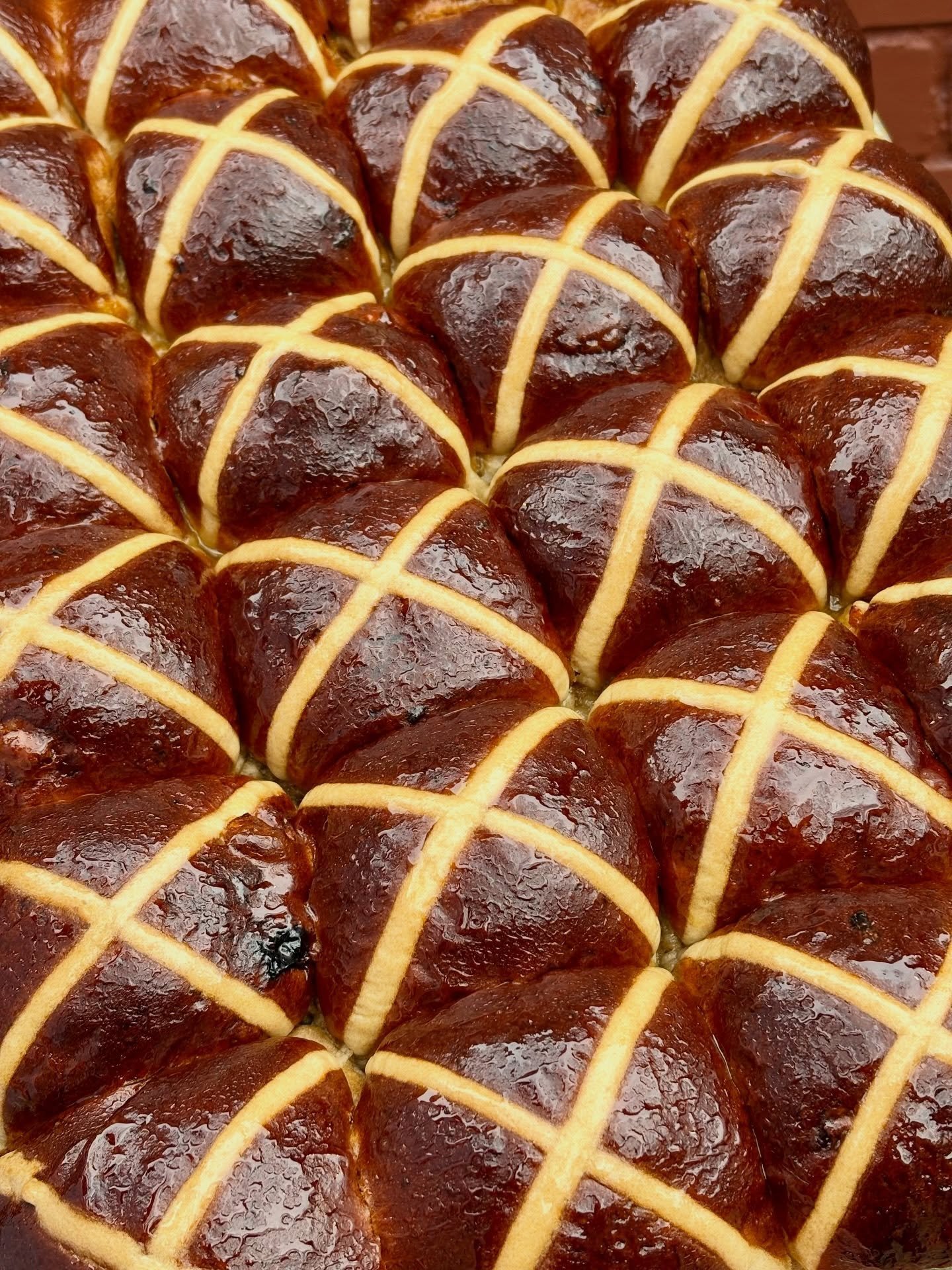 EASTER SPECIAL PART 3: HOT X BUNS 

Fluffy brioche dough filled with soaked apricots, sour cherries and candied citrus. Slicked with orange blossom syrup hot outta the oven. 

Selling in packs of 4ea this weekend at Greenpoint &amp; Prospect Heights 