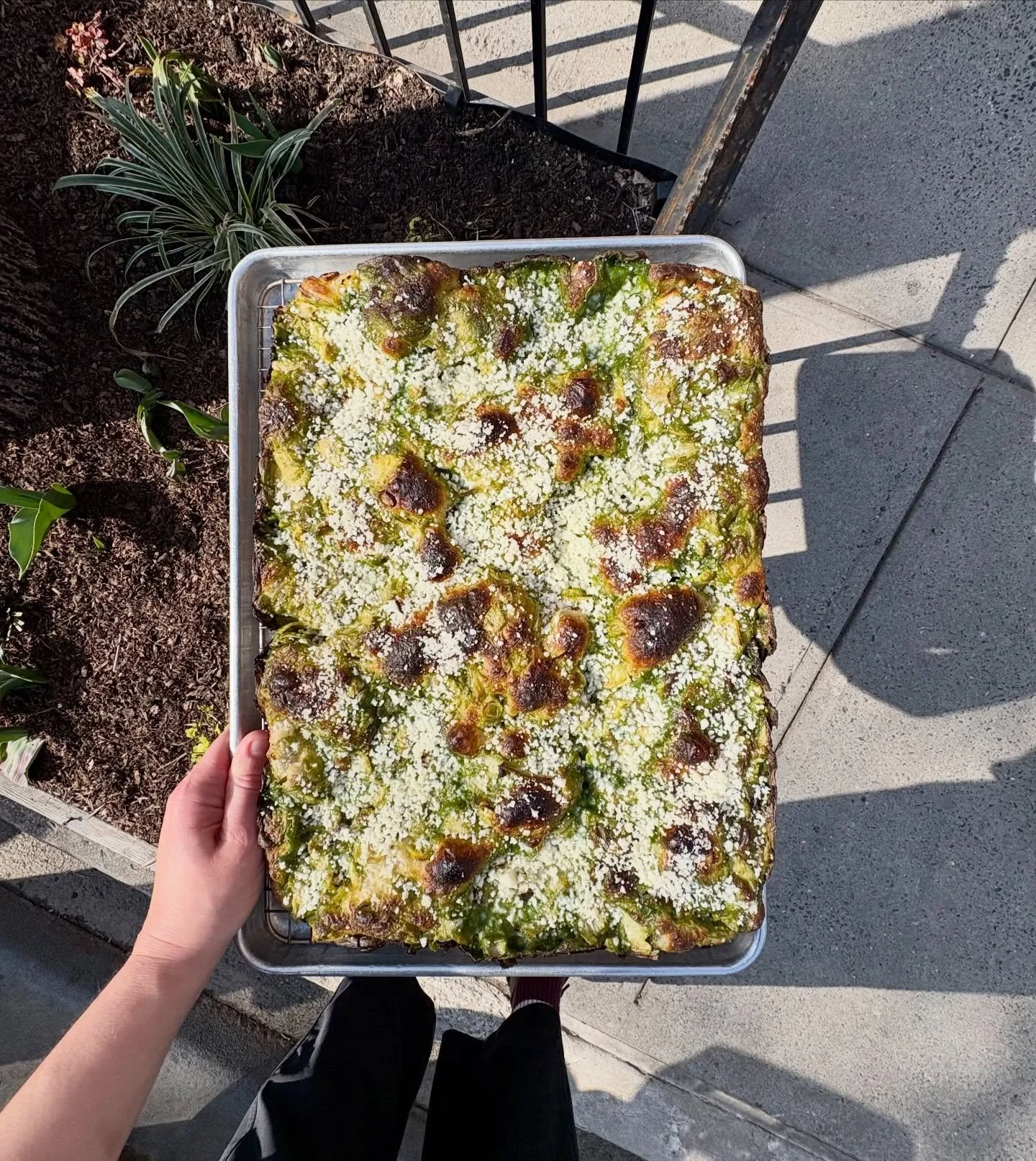 ARTICHOKE GREEN GARLIC FOCACCIA

Spring green garlic bechamel, tender roasted artichokes, and a lil pecorino combine for that nostalgic artichoke dip taste. 

@hailey.rozenberg knocked it outta the park with this one!