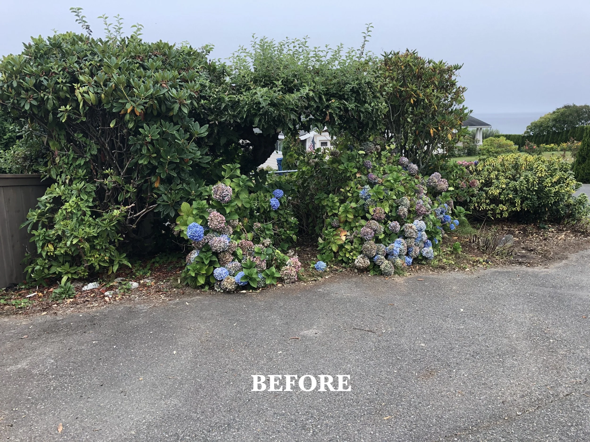 Driveway 1 BEFORE.jpg