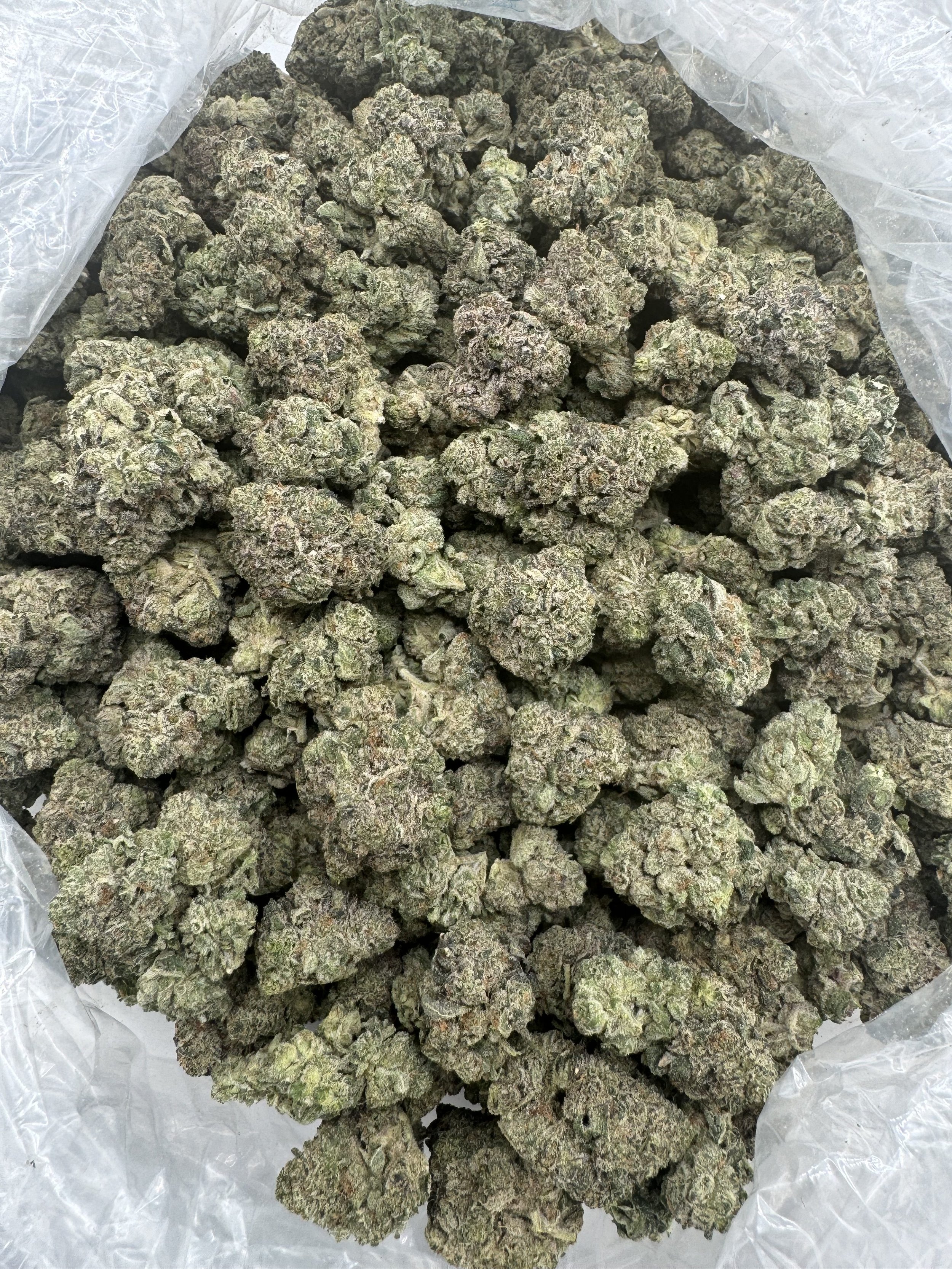 WHITE-TRUFFLE-FLOWER-THCA-rotated.jpeg