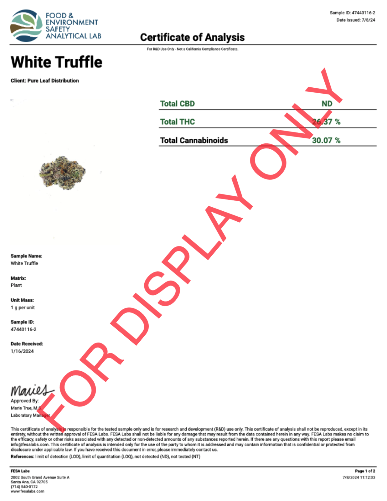 WHITE-TRUFFLE-COA.png