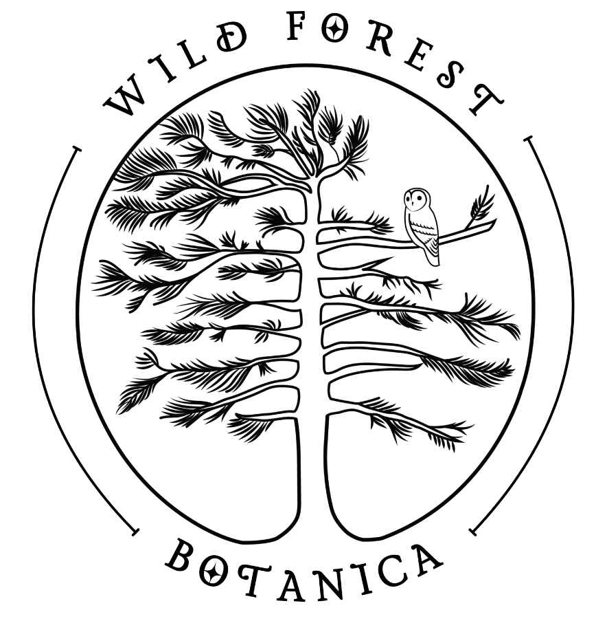 Wild Forest Botanica Brand Identity Development