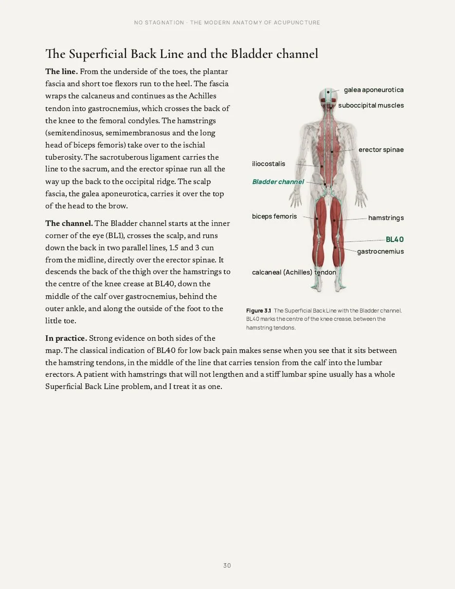 05-page-n30-030.jpg