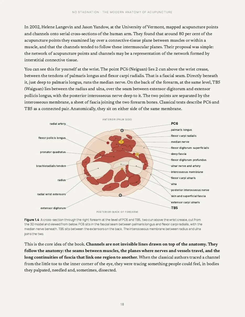 Page with a labelled cross-section of the forearm at PC6 and TB5