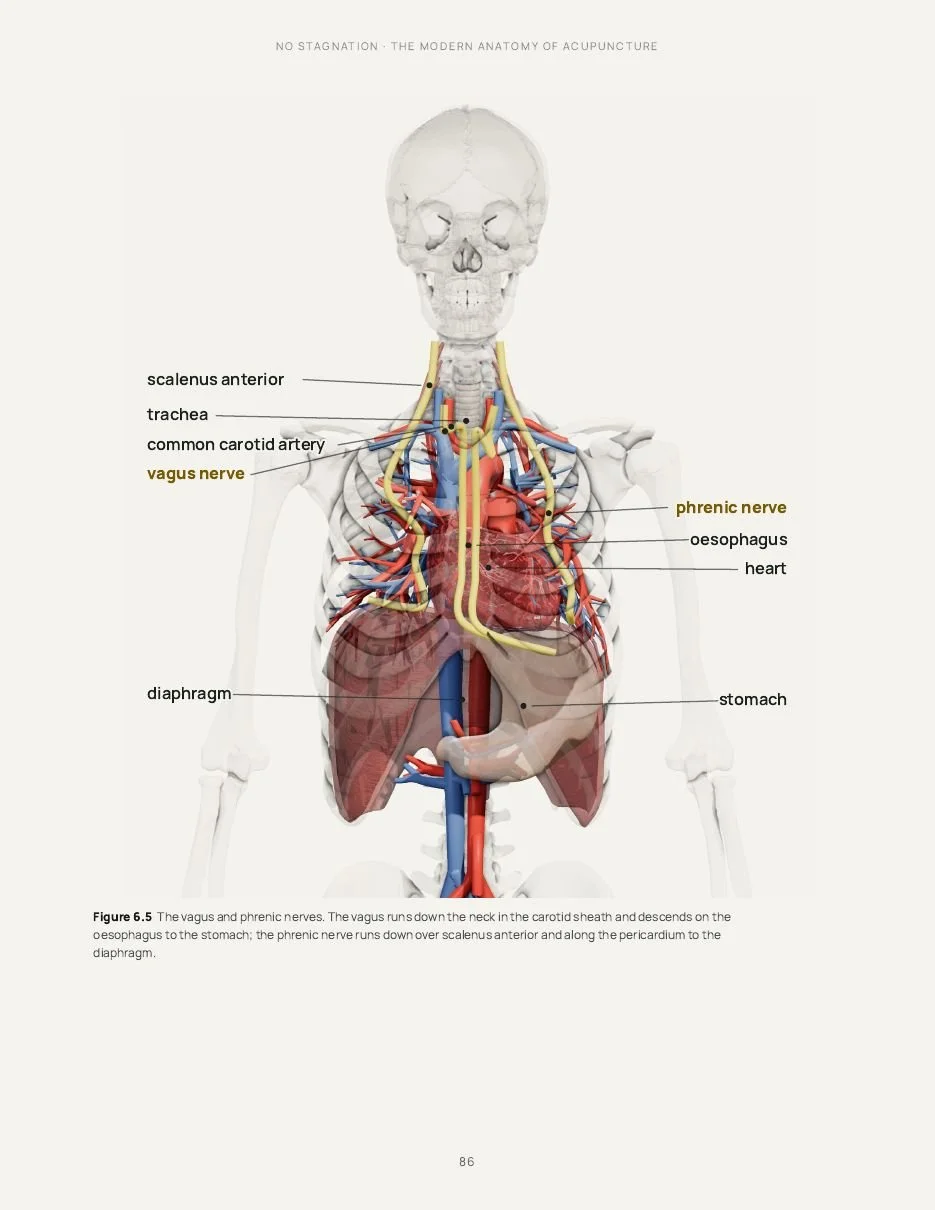 09-page-n86-086.jpg