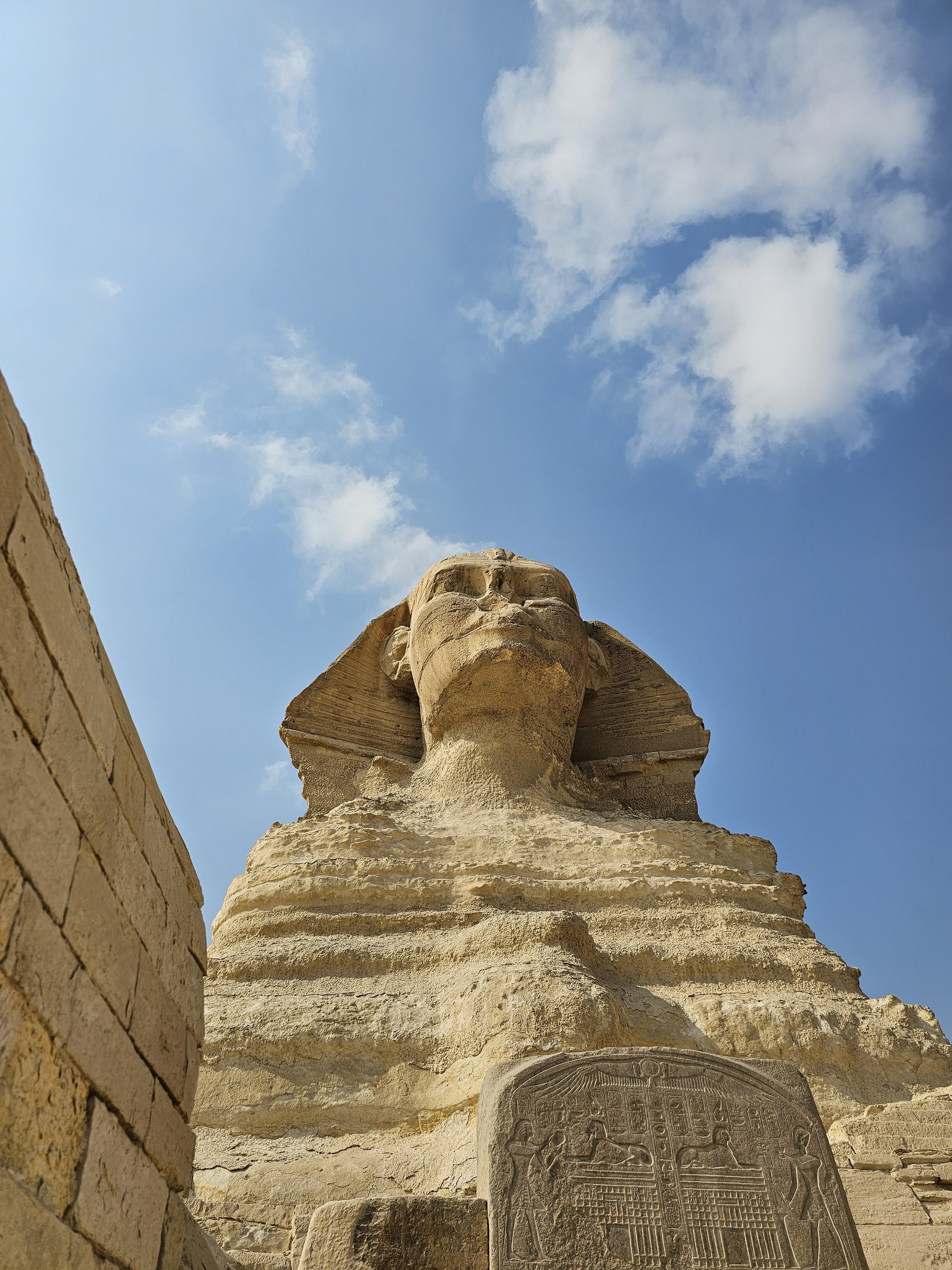 What I Found Between the Paws of the Sphinx