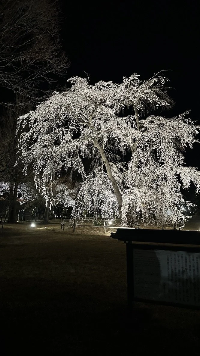 D8E0E06C-F942-480D-B0F3-7235F1BA0E2D_1_105_c.jpeg