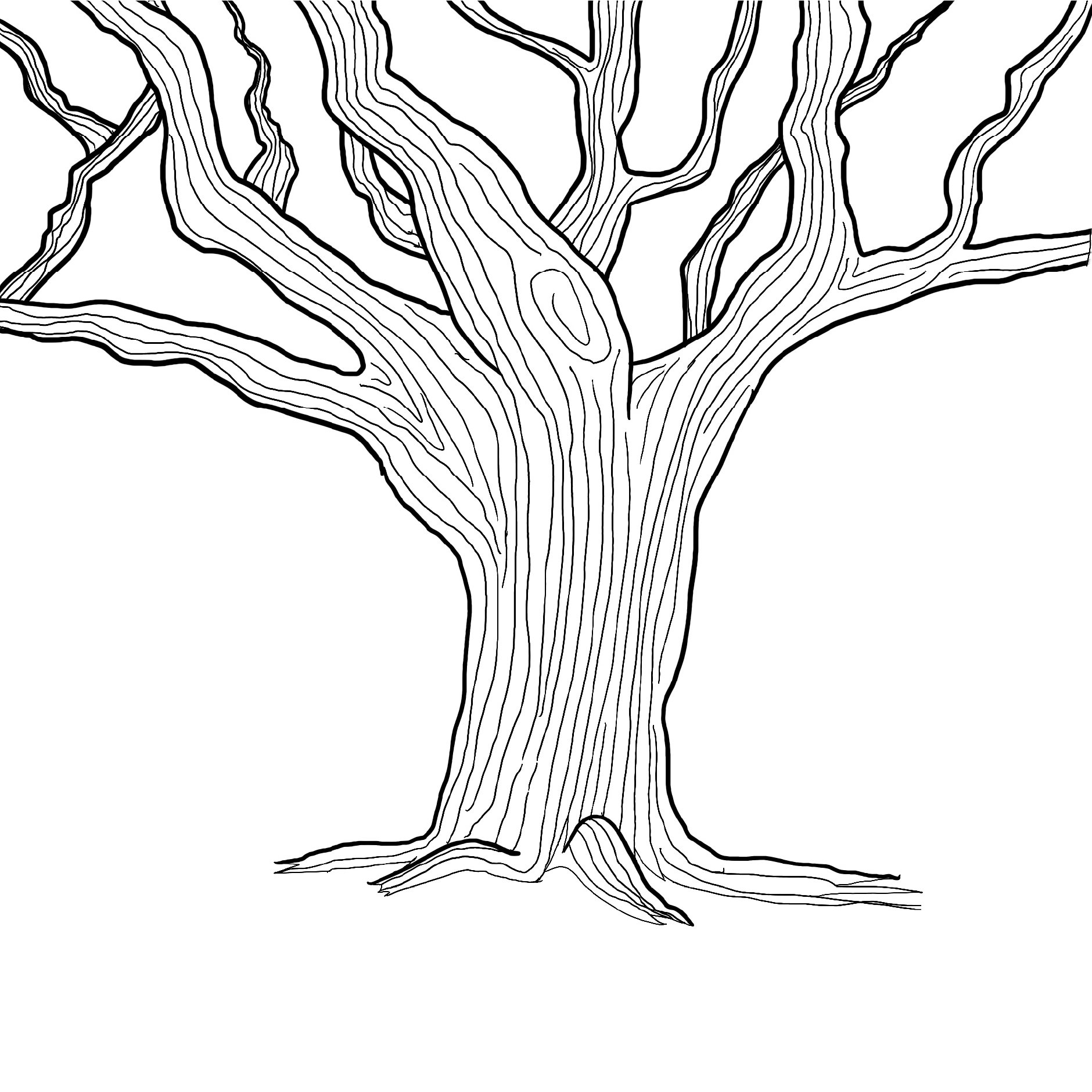 Value proposition tree boom-03.jpg