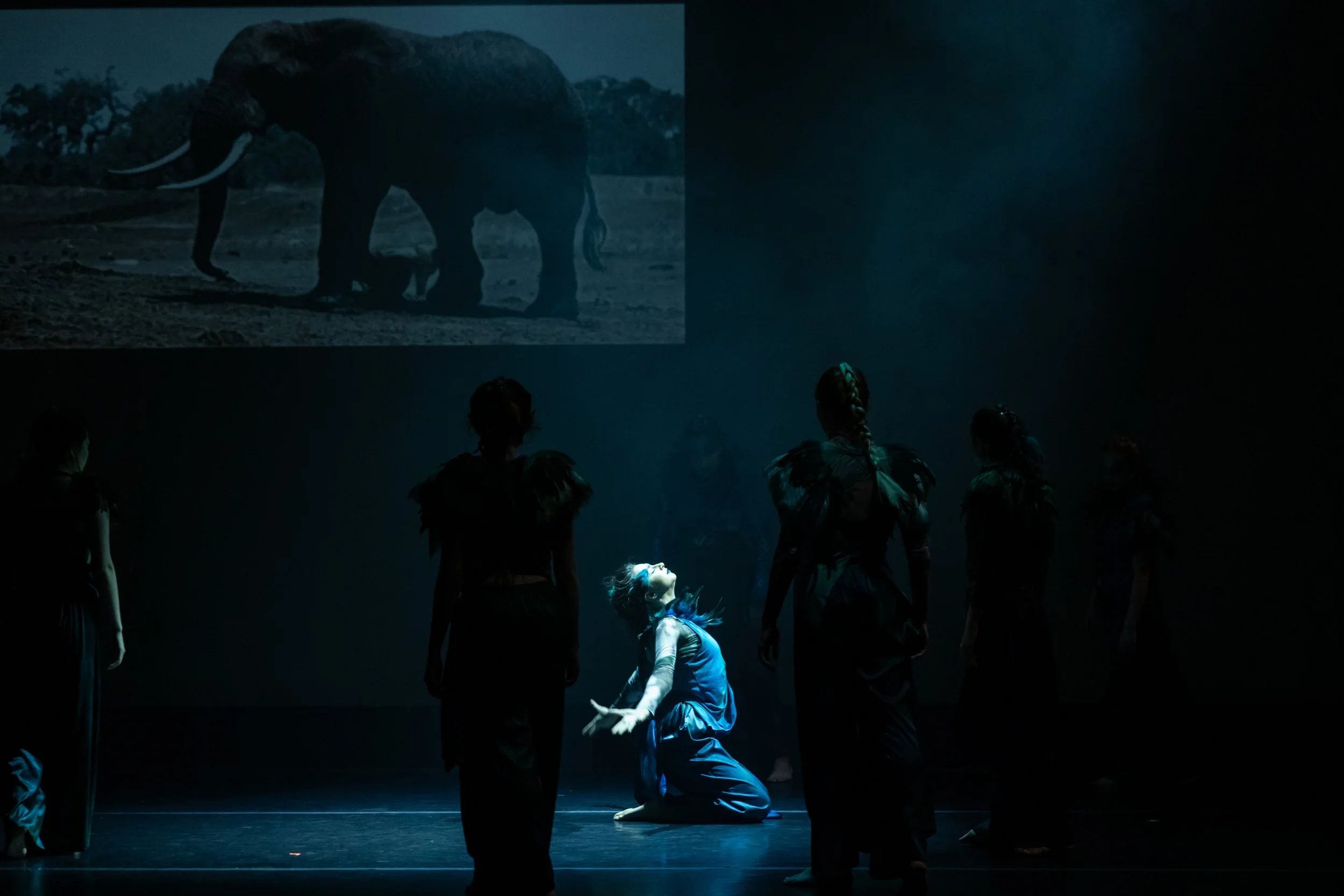 Dance 2_Danceworks 2024_Justin Barbin-56.jpeg