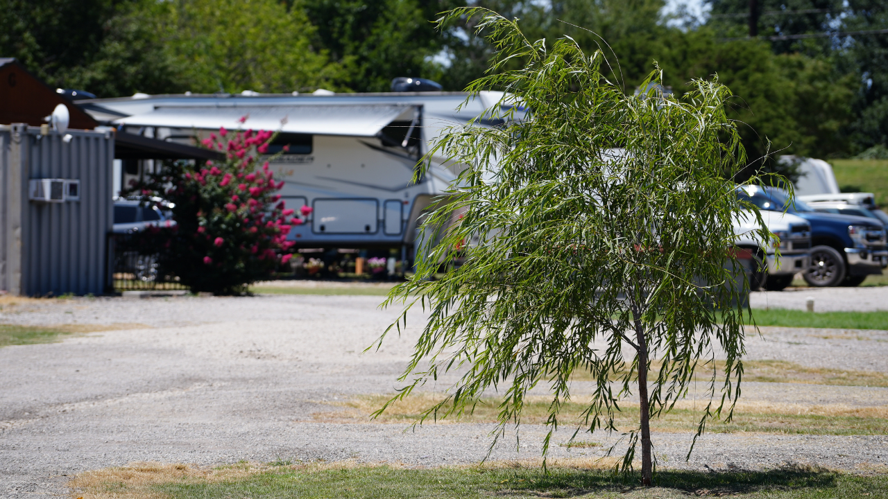 Open Acres RV Park | Explore RV Park Photos in Springtown, TX — Open ...