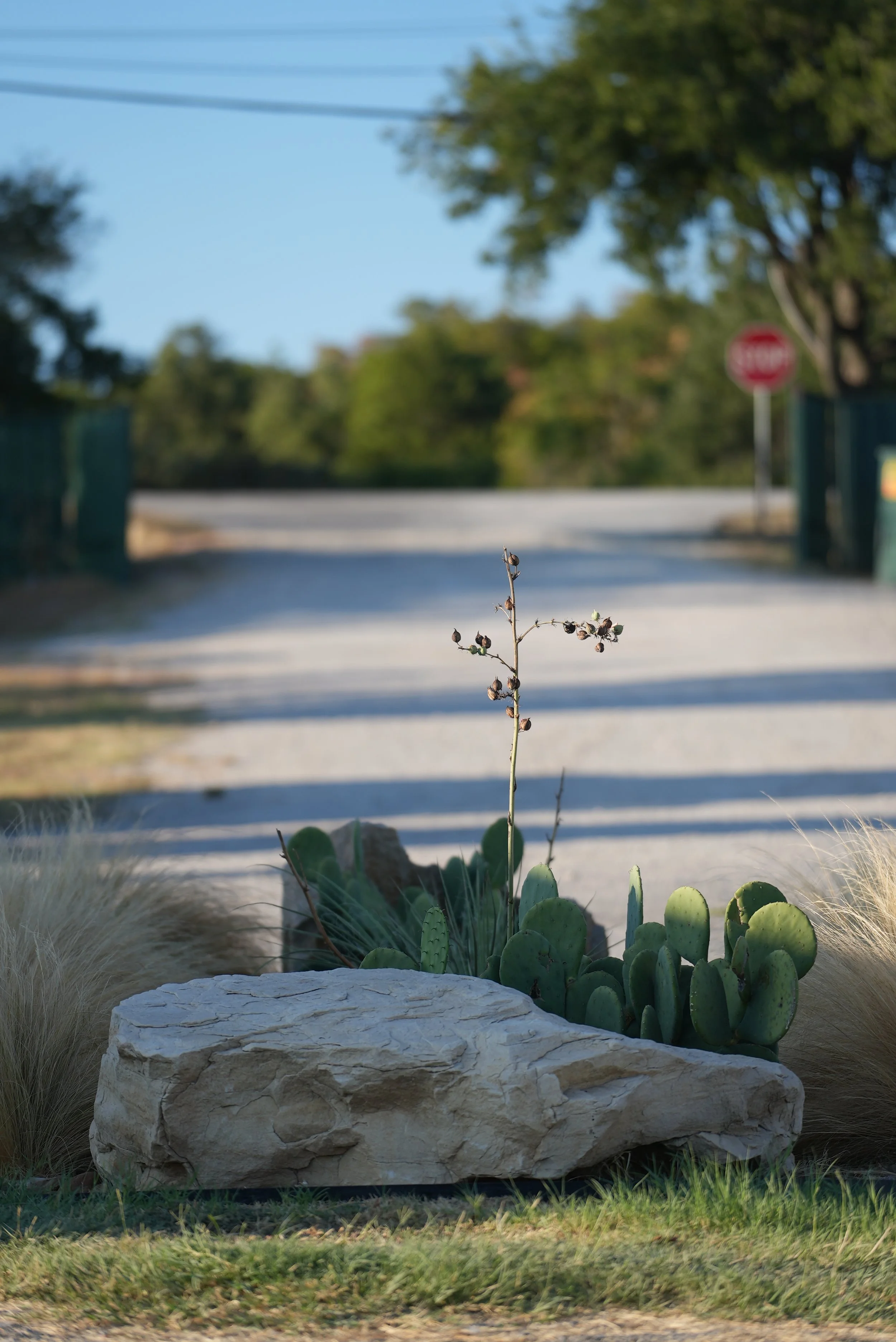 Garden_Open Acres RV.JPG