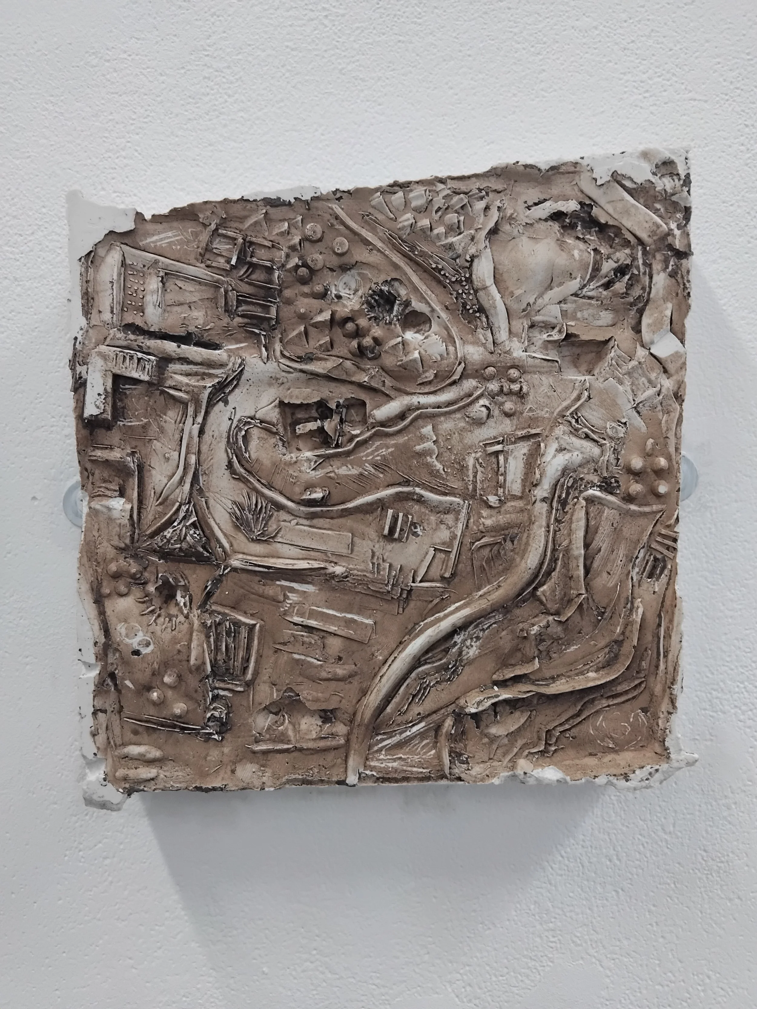 A textured abstract sculpture with various geometric and organic shapes, mounted on a white wall.