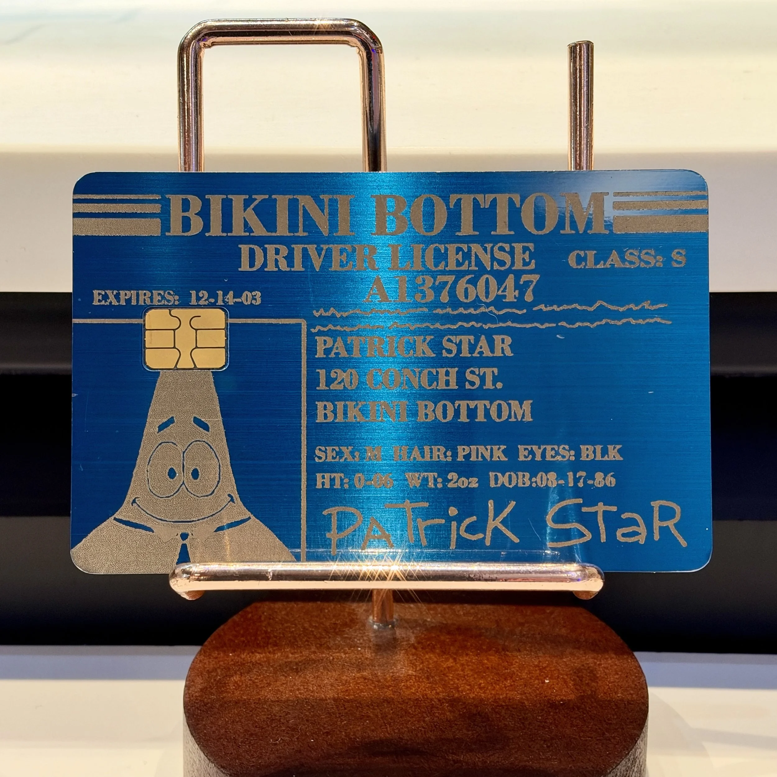 Patrick Starr License.jpg
