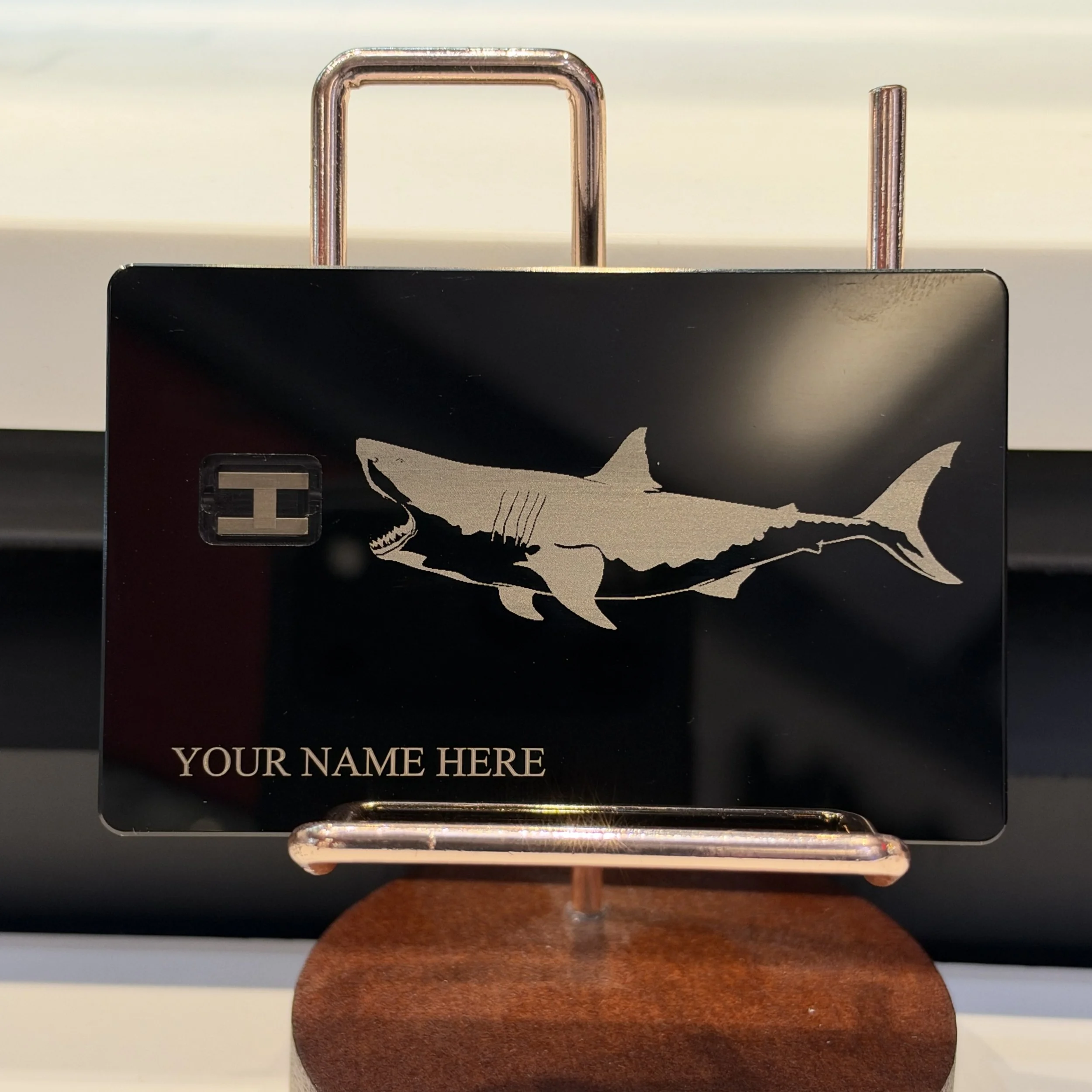 Shark.jpg