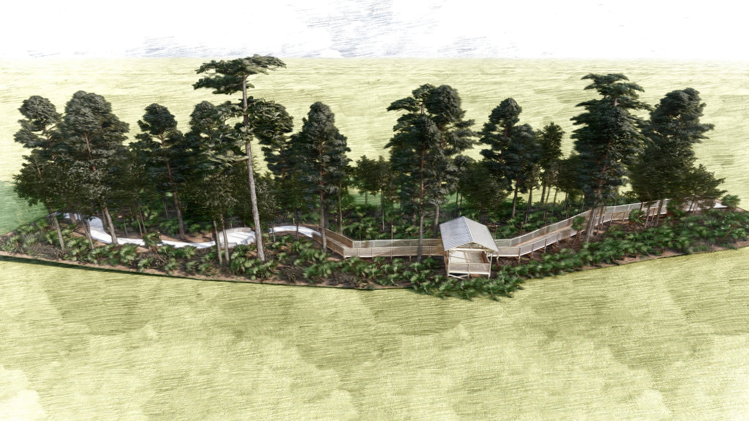 Camp Boggy Creek Boardwalk v2-04.jpg