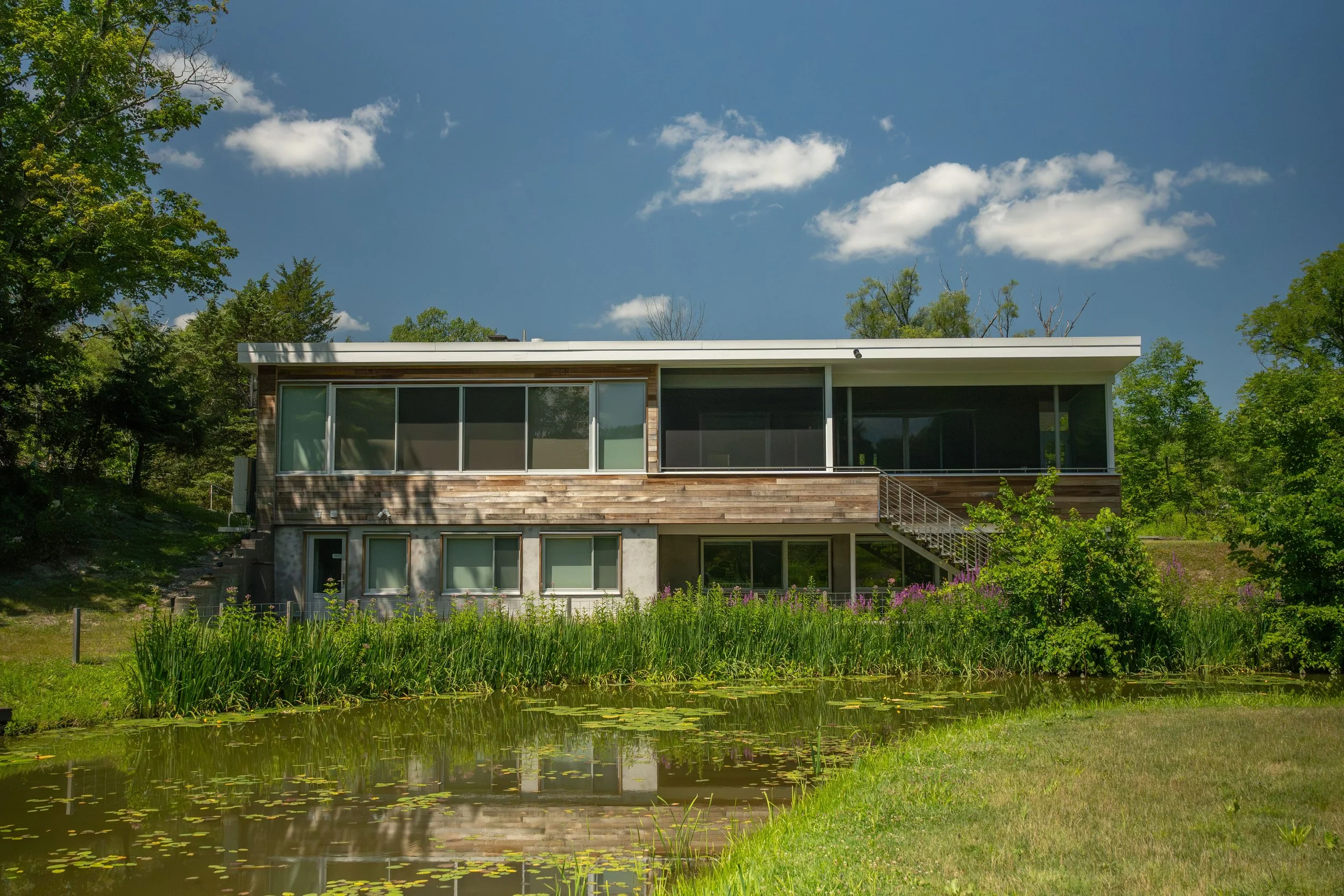 Mid-Century Max