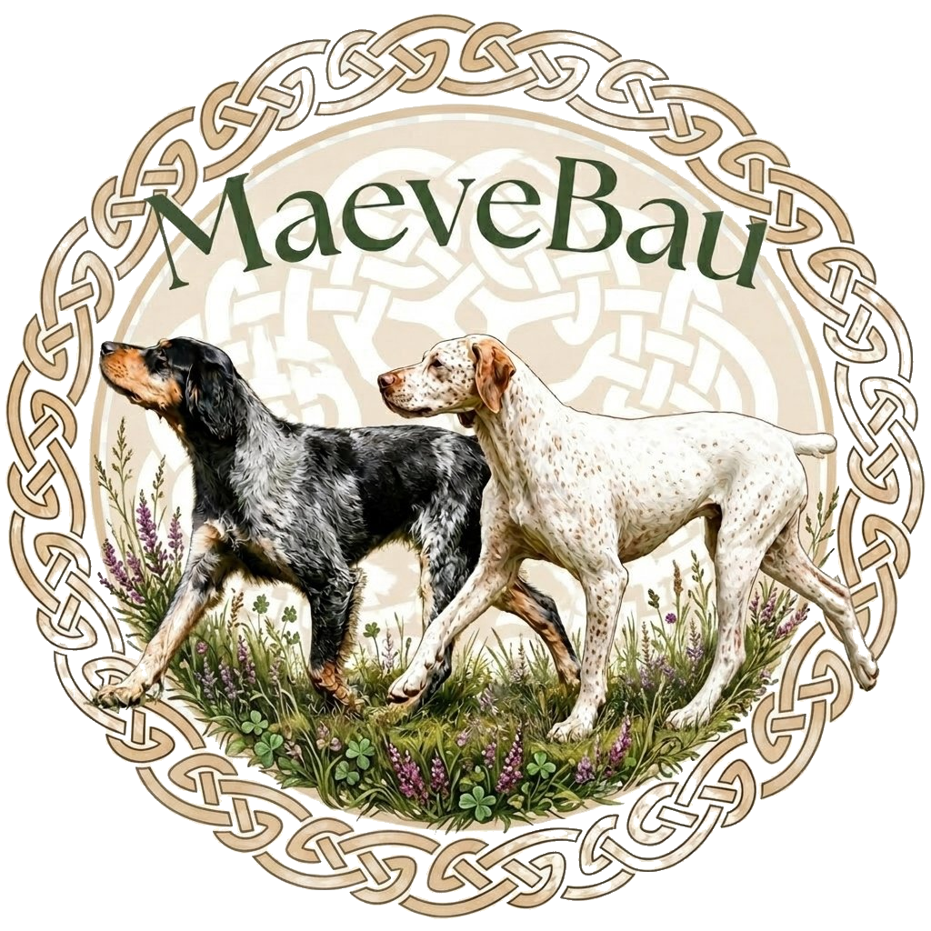 MaeveBau 