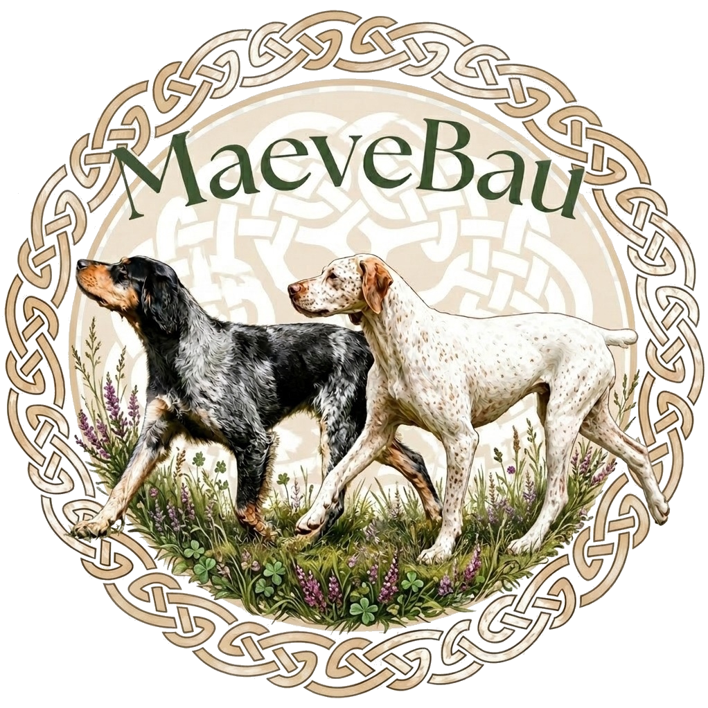 MaeveBau 