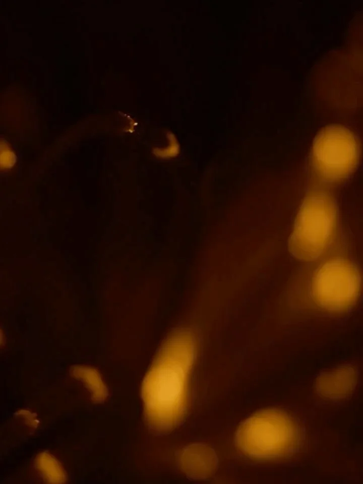 6 awesome releases this weekend: 

1. @maxcoopermax 
New video project with @chassaing.xavier for the track Peace Exists Here
Mixed by @aneek_thapar 

2. @re.cur 
A Strange Loop. 
LP out now on 12 inch and Digital
Mastered by @aneek_thapar 

3. @bret