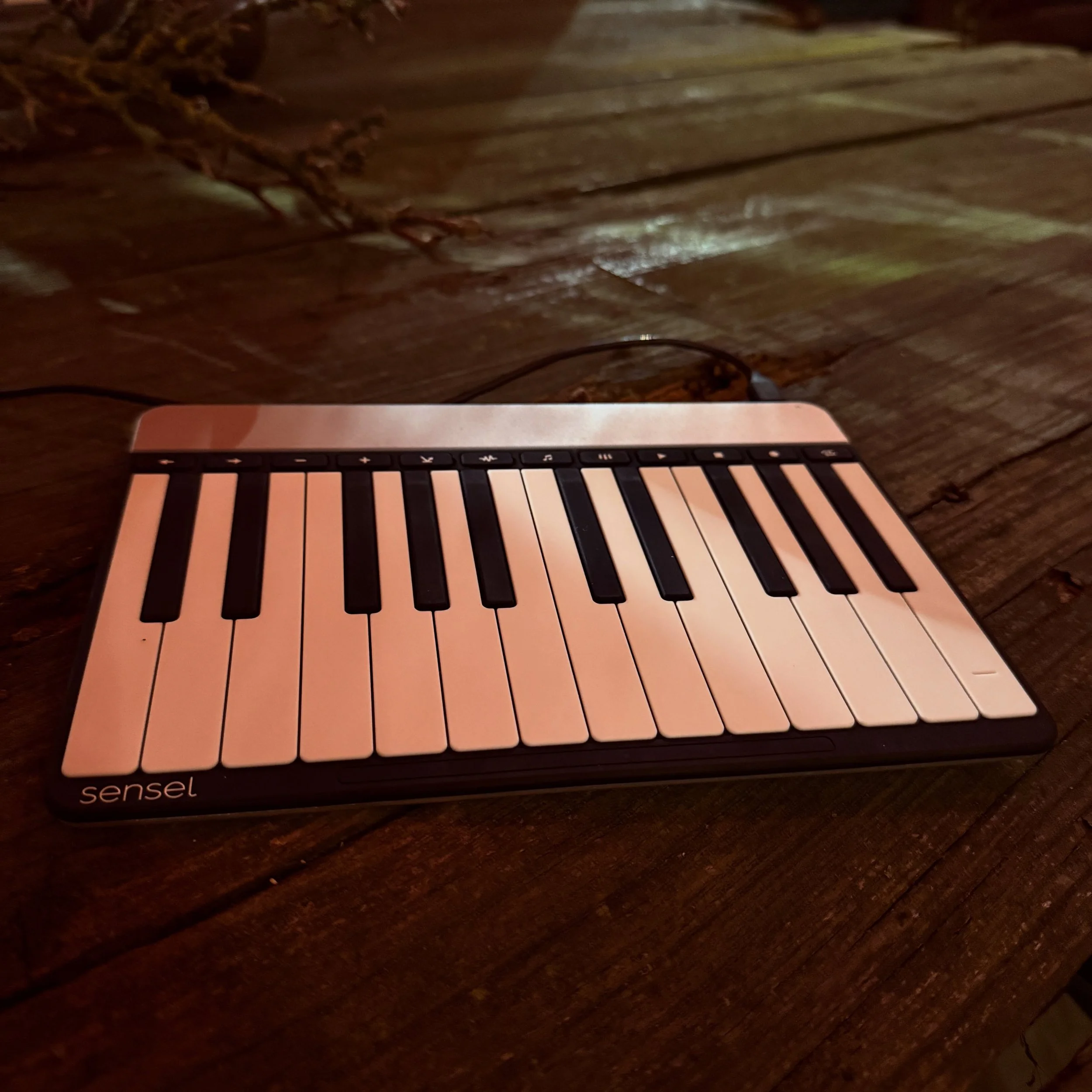 Hunting for one of these Sensel Morph controllers. 
Pls holler if you have a link / know someone selling one.