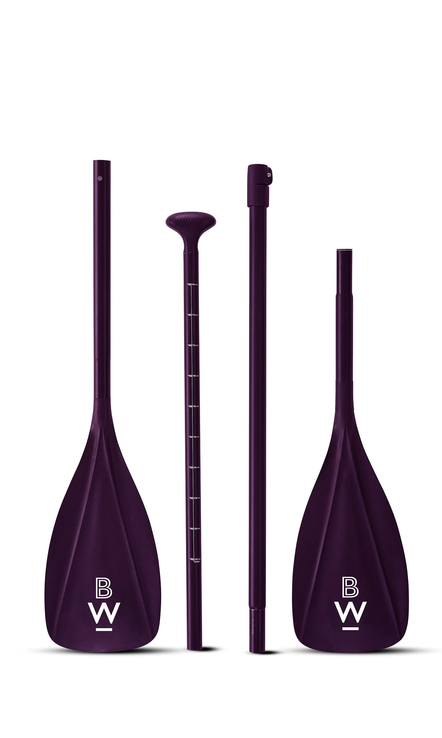 Oars.jpg