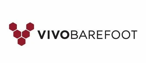 vivo.jfif