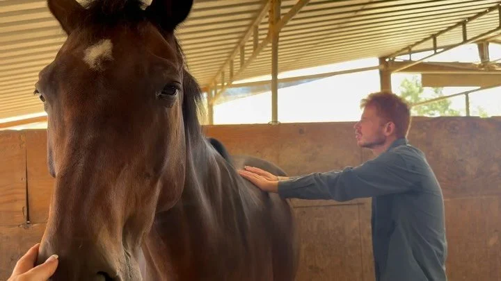 Sometimes the best lesson a horse can give us is to find stillness within ourselves. 🤍

#PowerOfPatience #EquineAssistedLearning #HorseHumanConnection #EquineTherapy #HorsesHeal