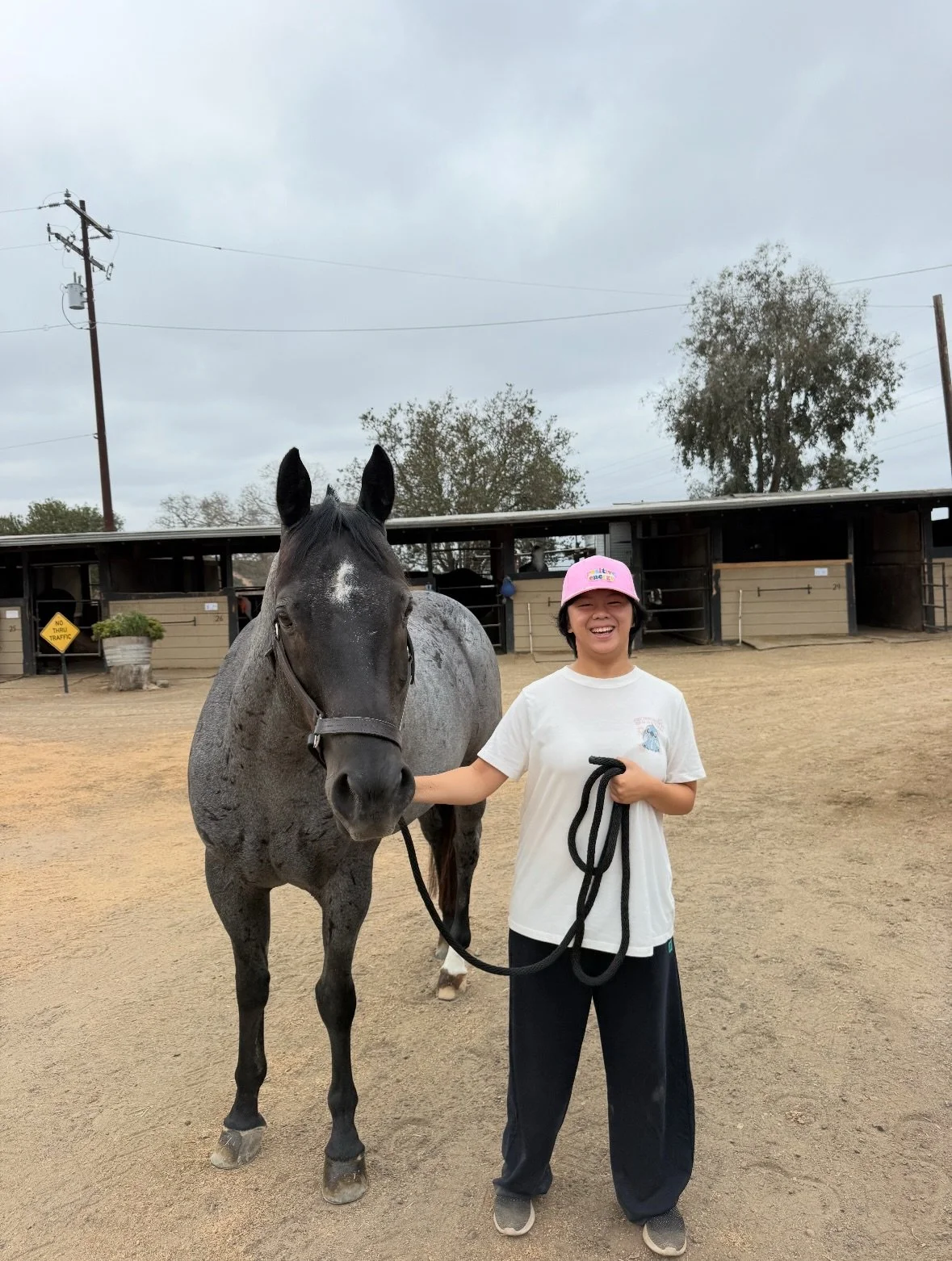 &ldquo;A friend recommended Wendy to us. She told me Wendy knows her horses so well that she remembers each one&rsquo;s history and could keep telling you their stories. Two months ago I brought my daughter Emily for her first visit, and I soon under