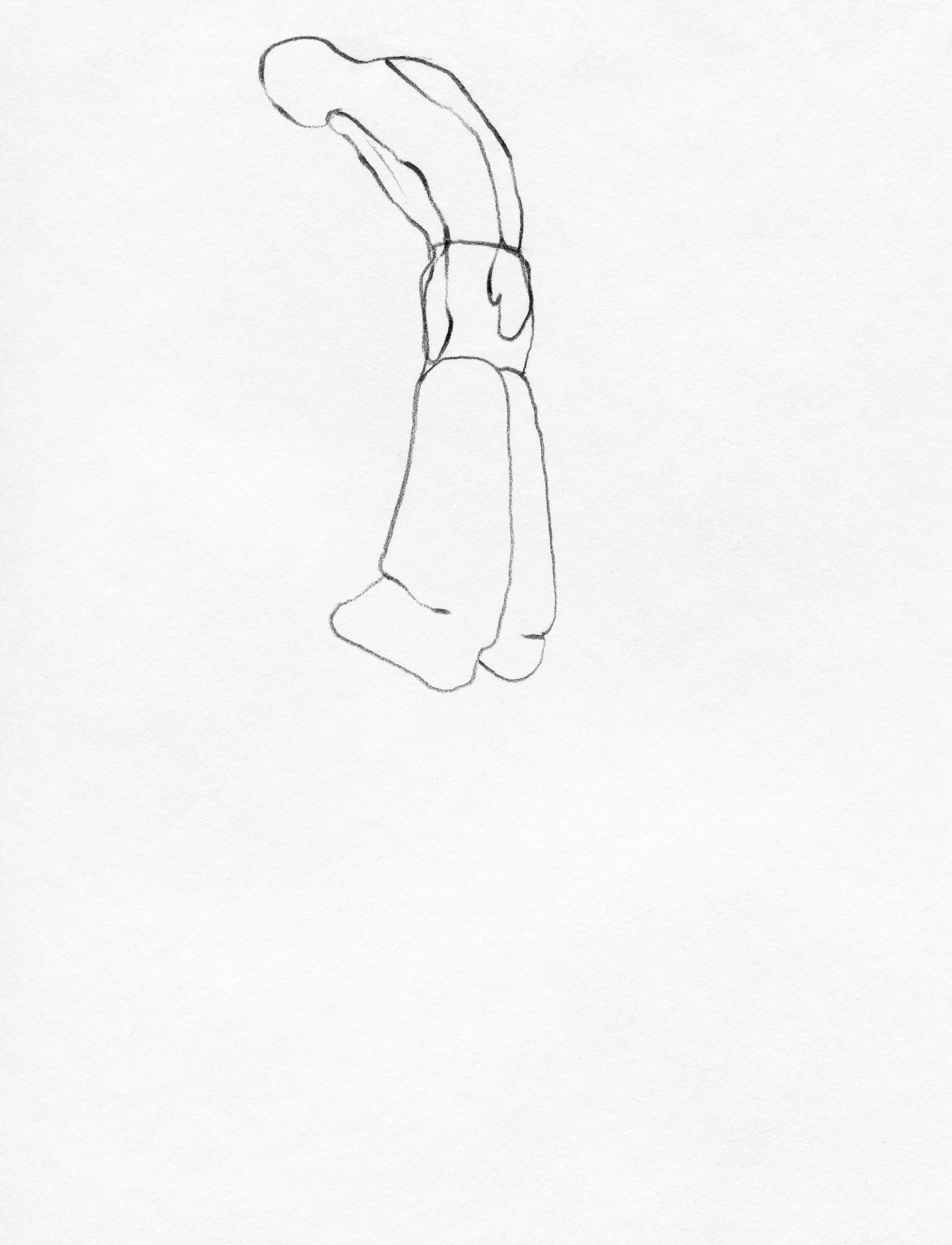 151.jpg