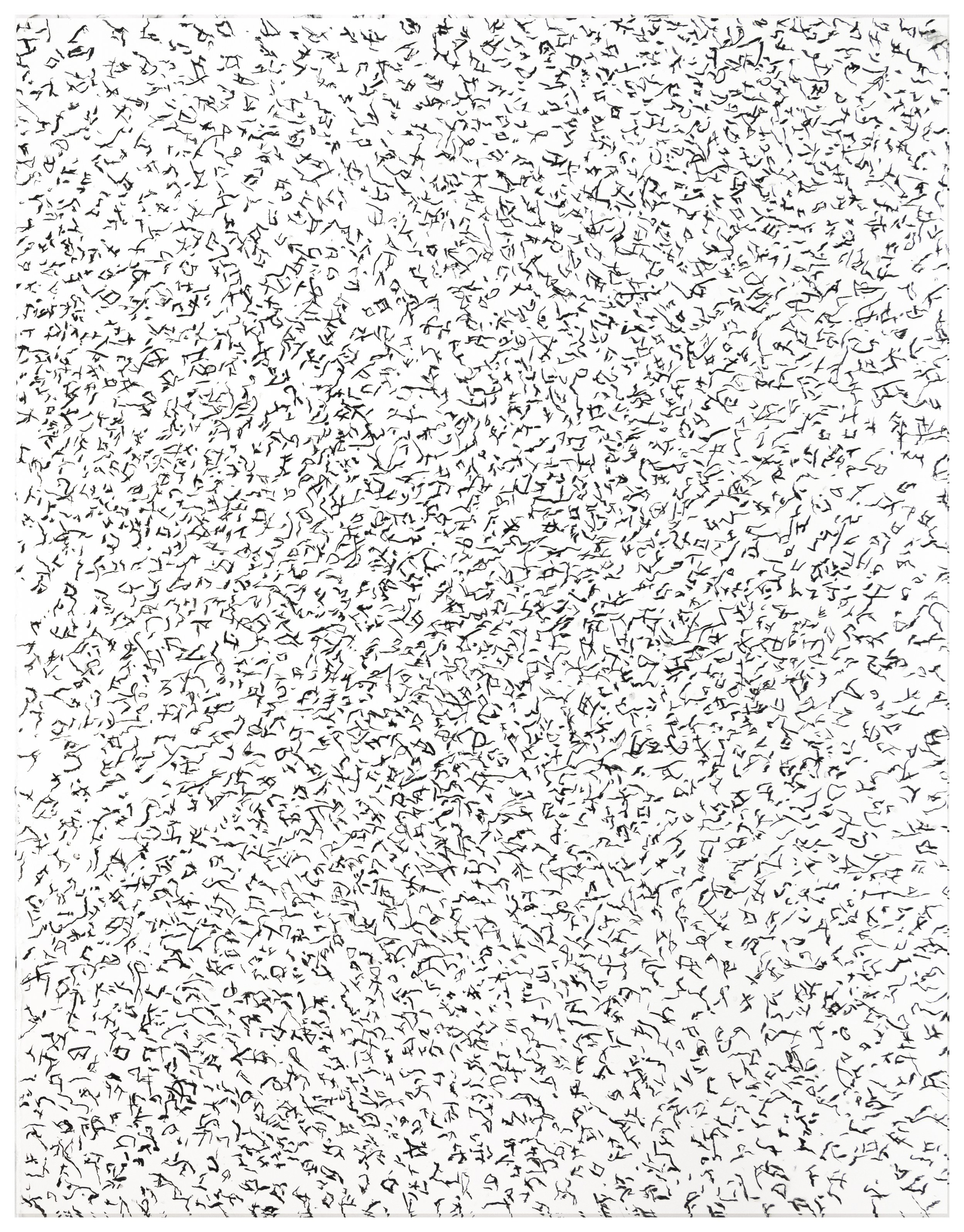 Nachbild_1_crop_border.jpg